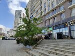 Kayasehir Focus Estate (İstanbul, Başakşehir, Kayabaşı Mah., Kayaşehir Blv., 28A), construction company
