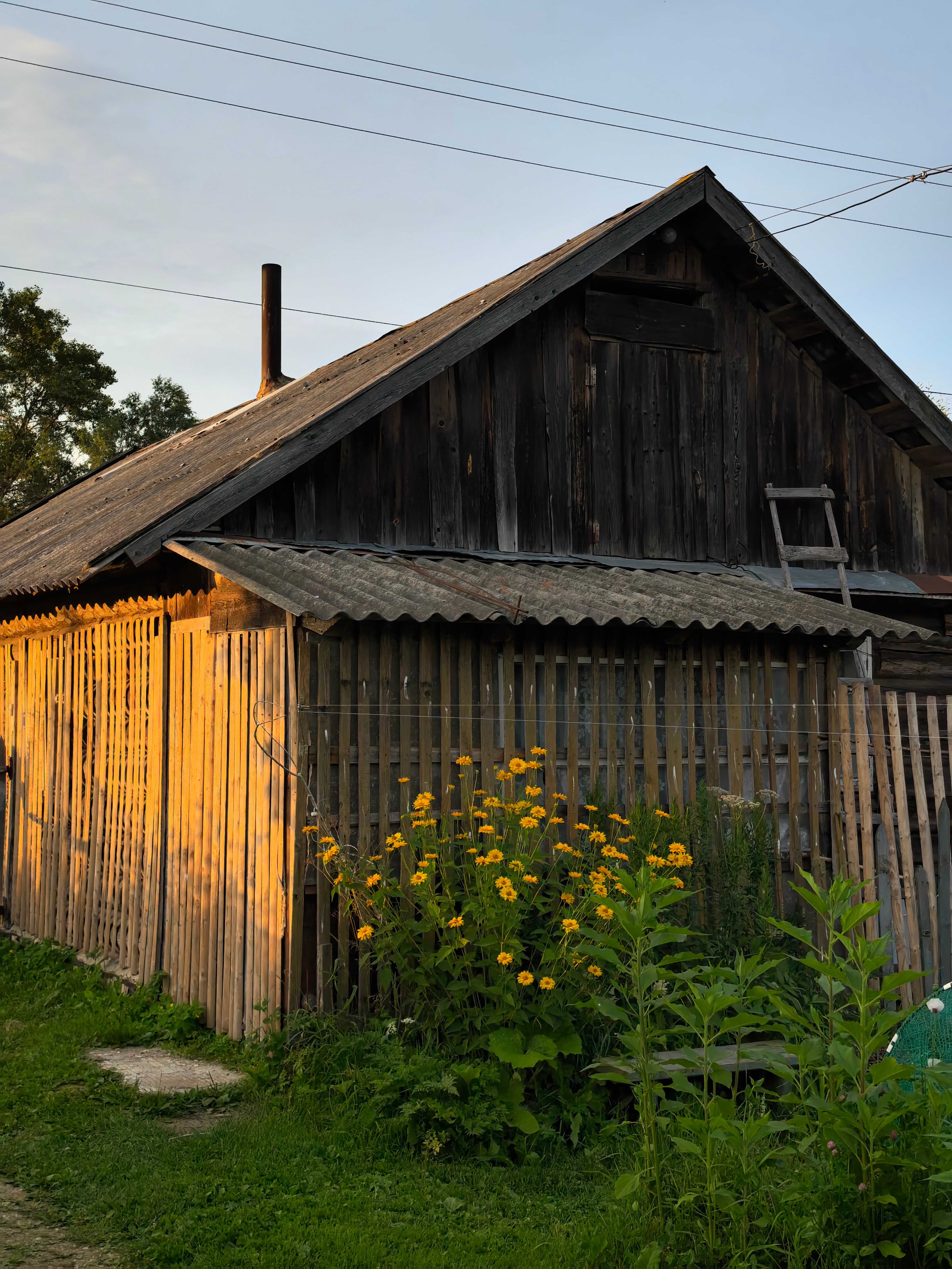 Фото Эко-дом Амарант