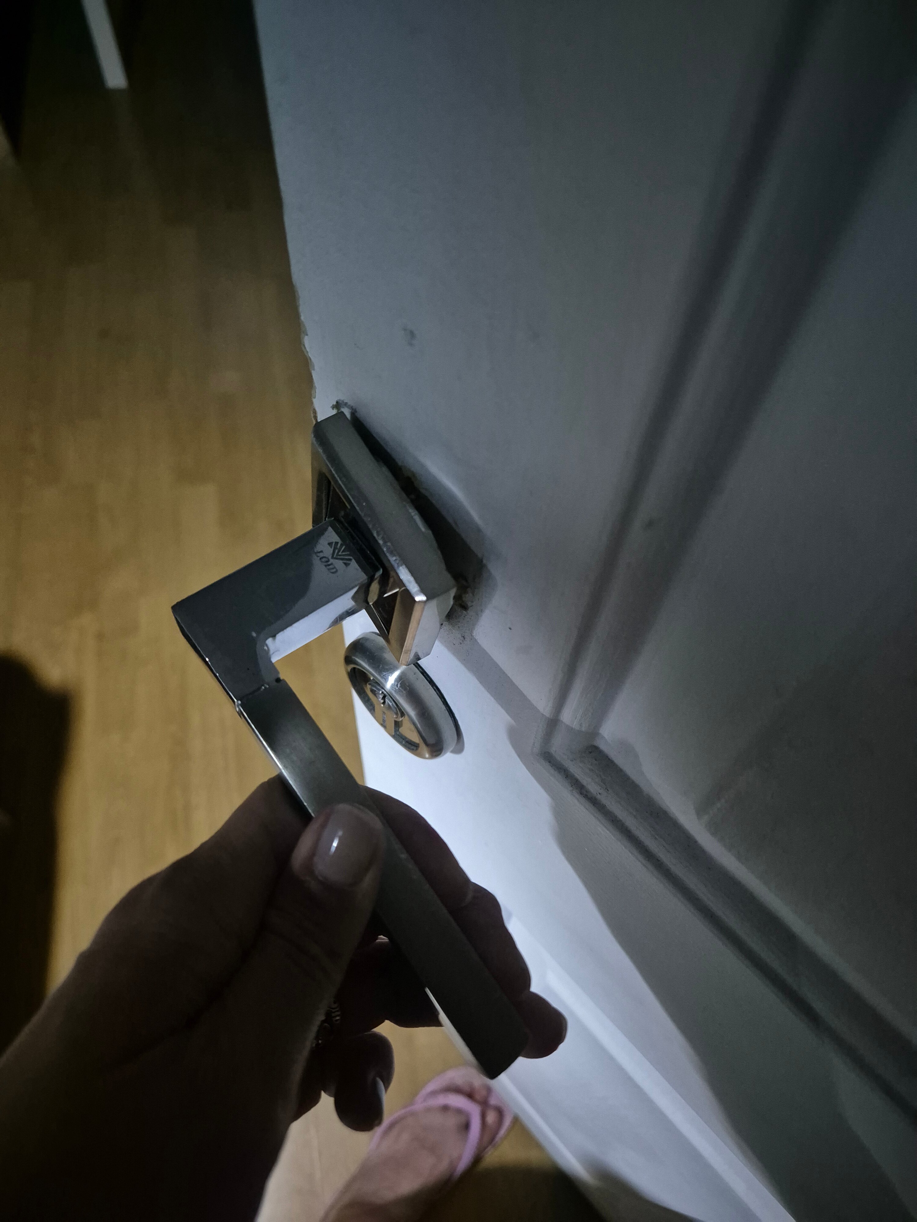 Фото Сканди