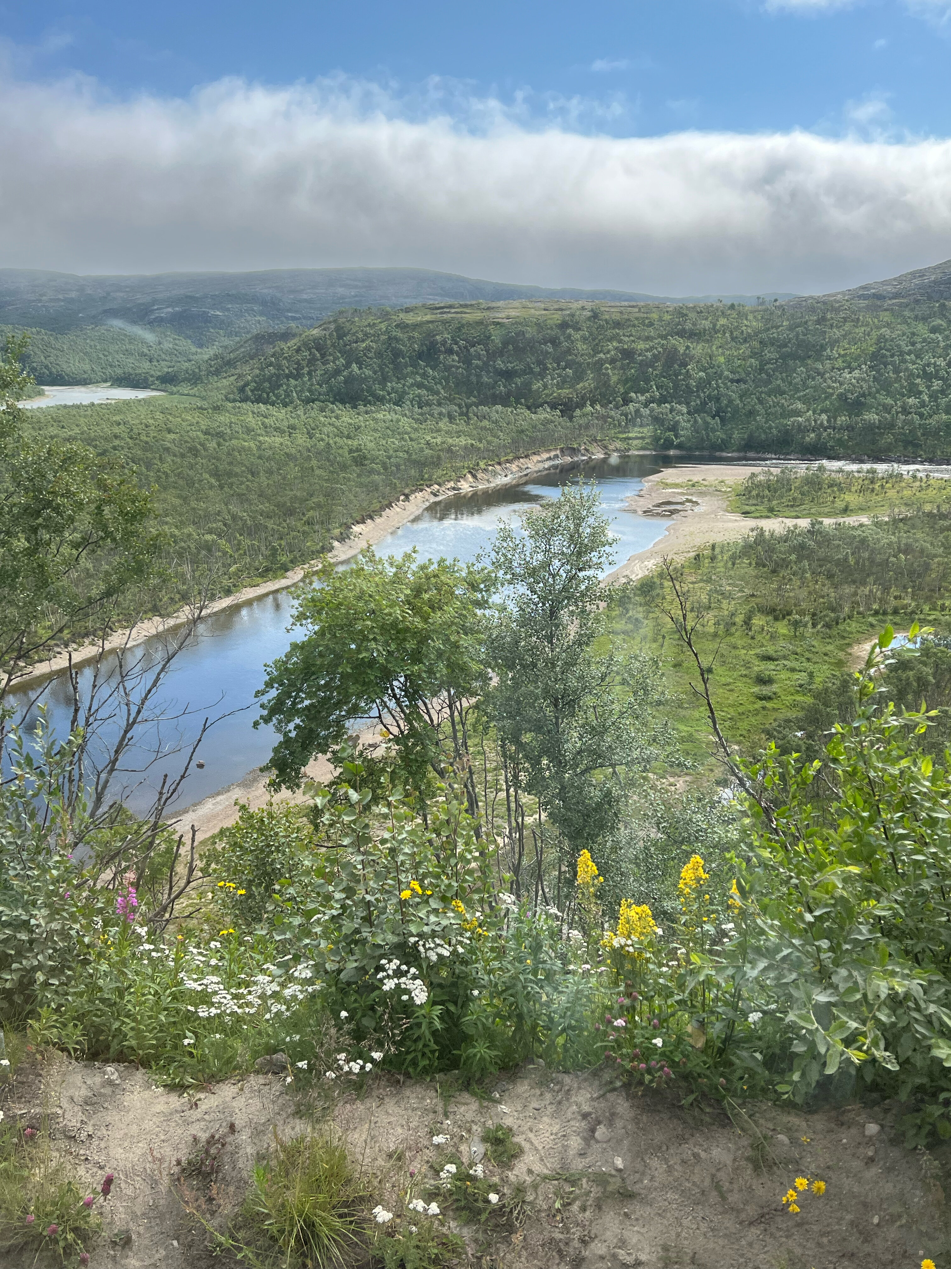 Фото Заполярный кордон