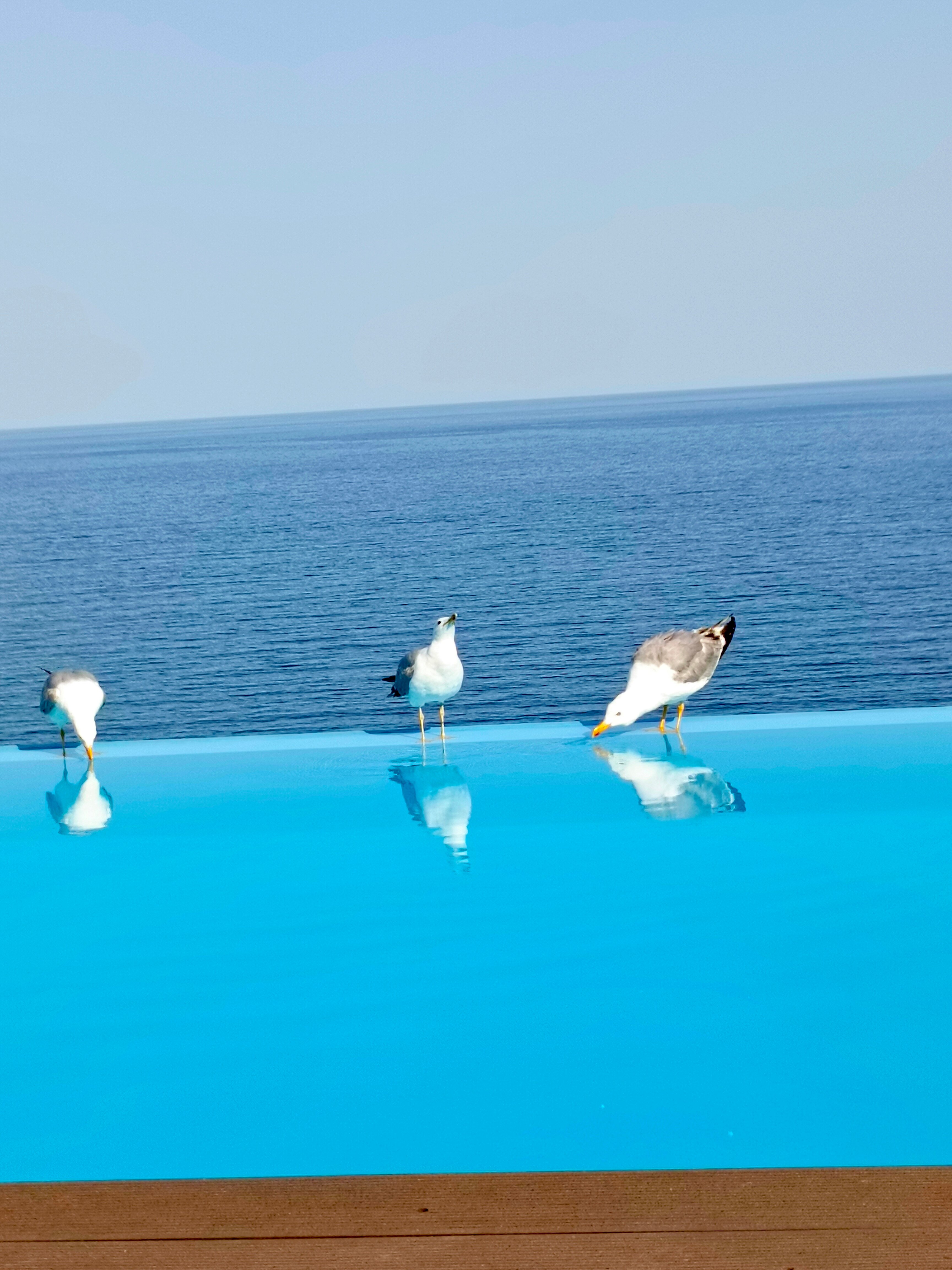 Фото На Высоте