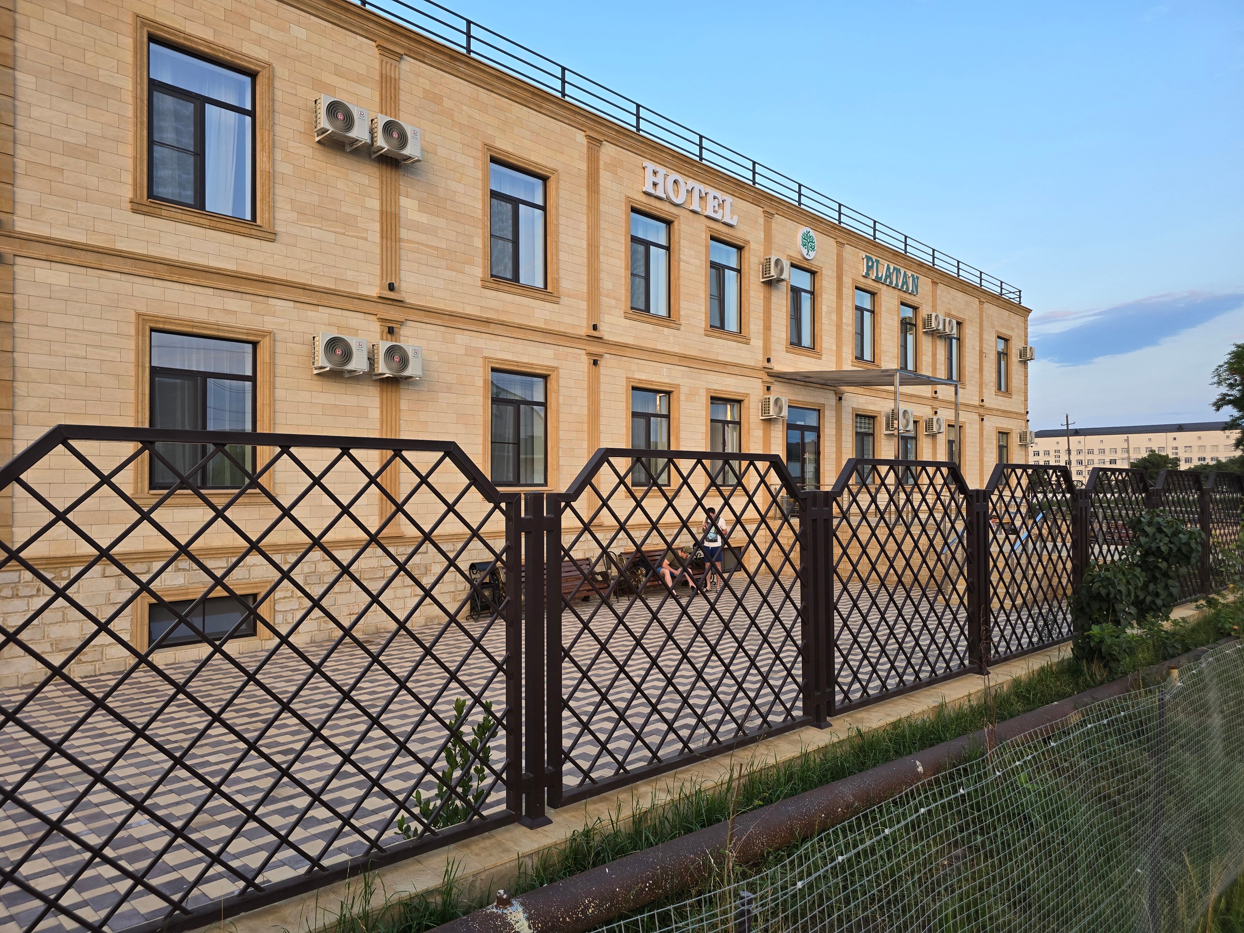 Фото Платан