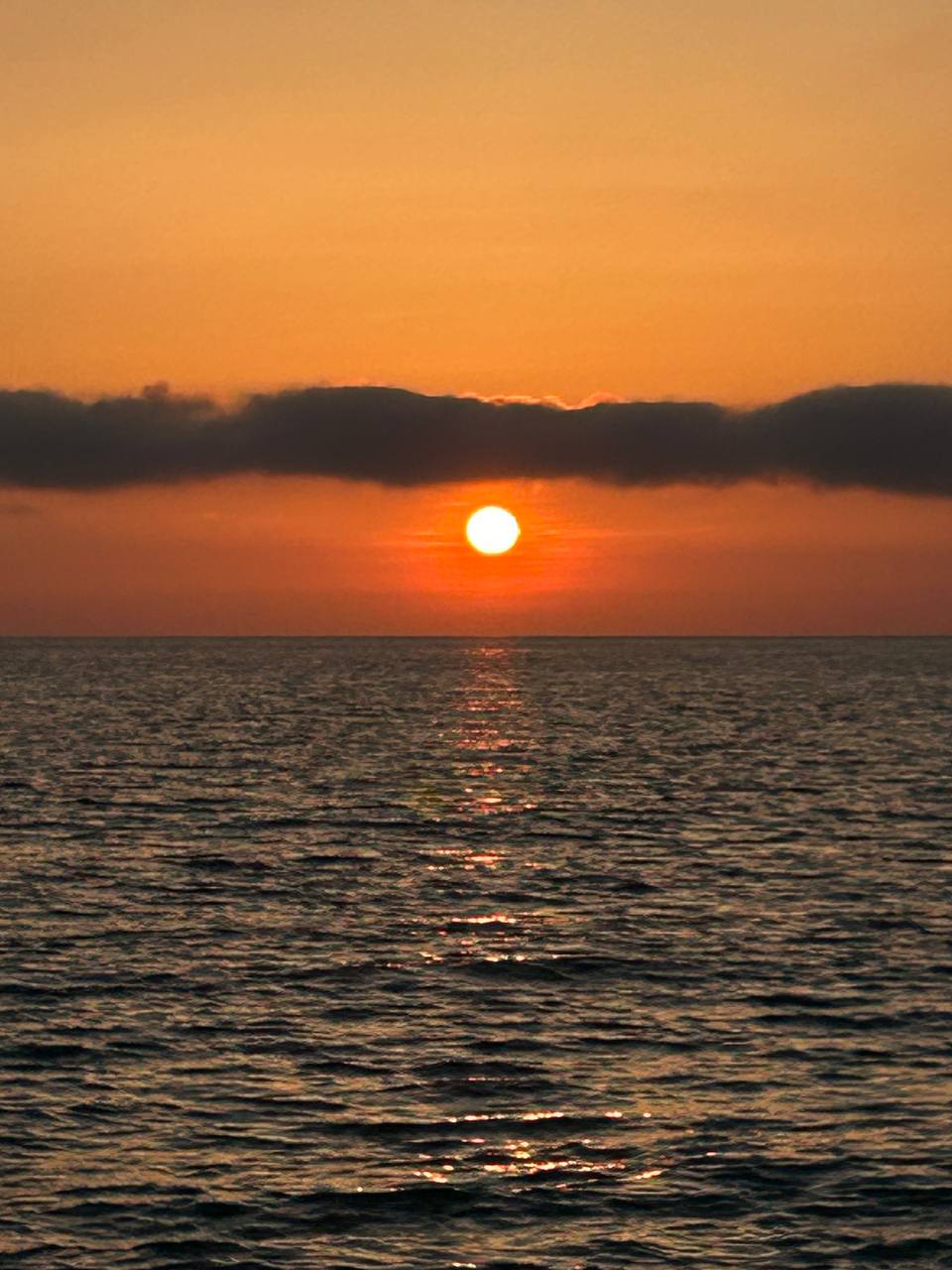 Фото Весна 6