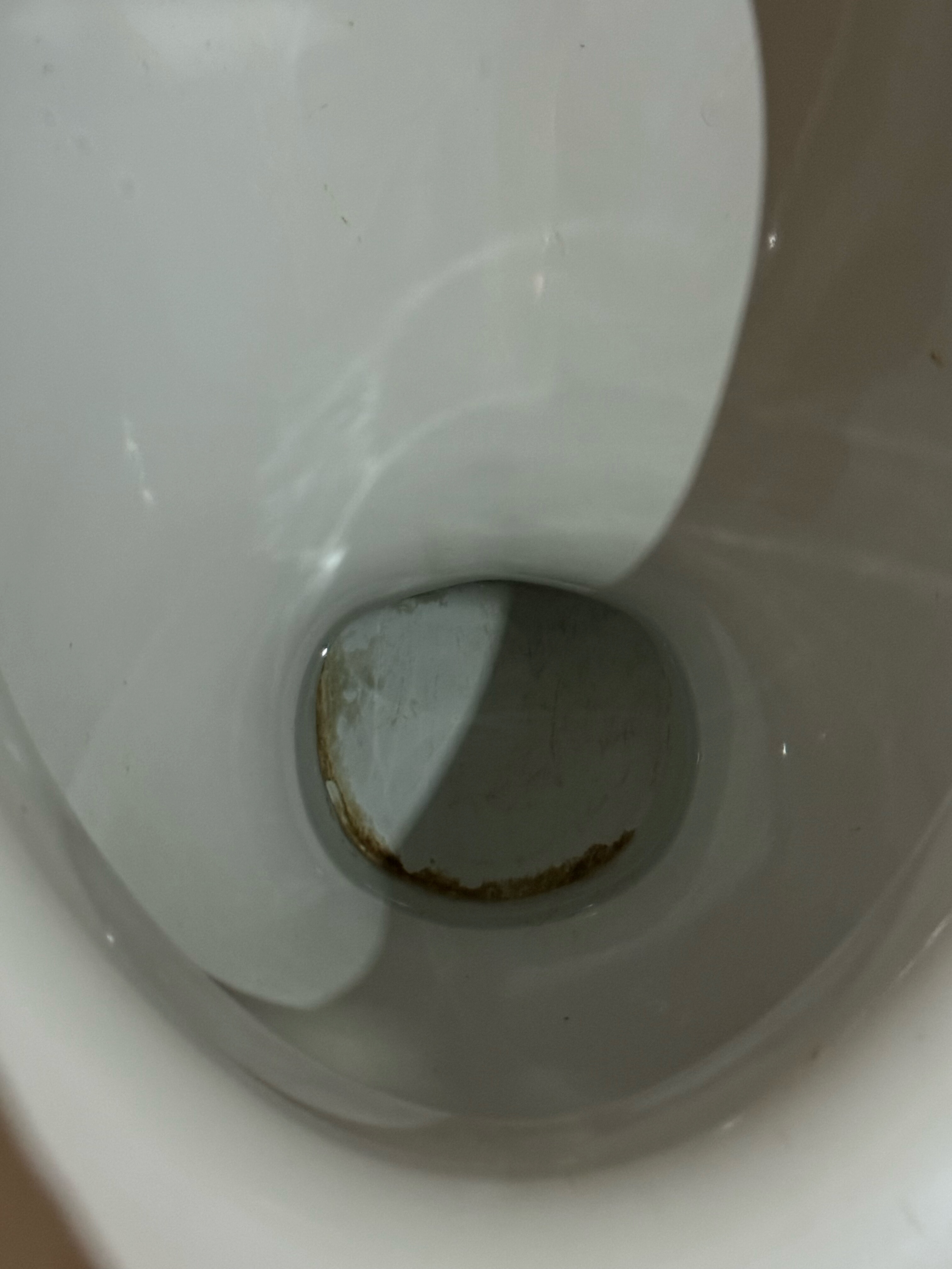 Фото Моцарт ин