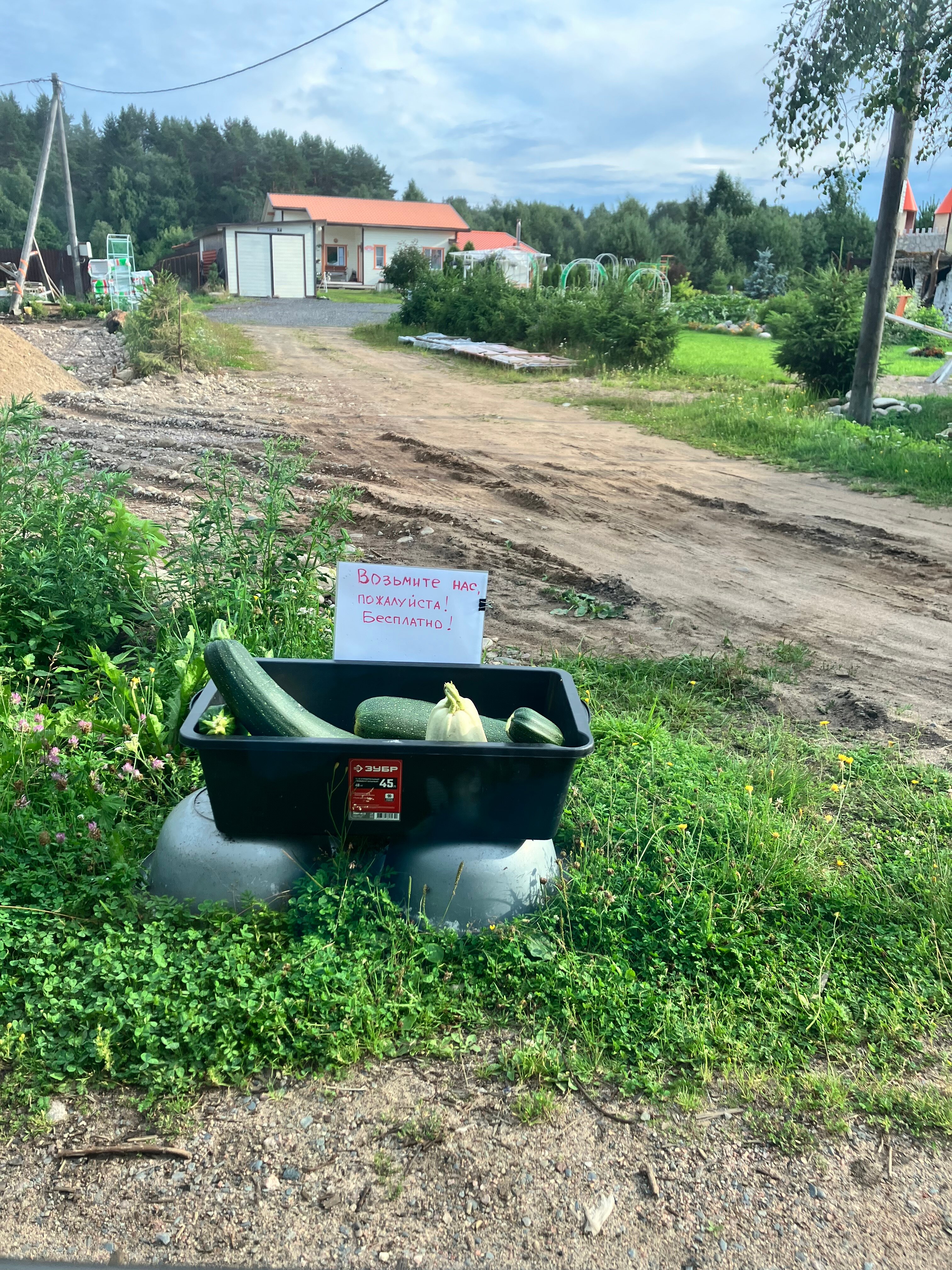 Фото Тулокса