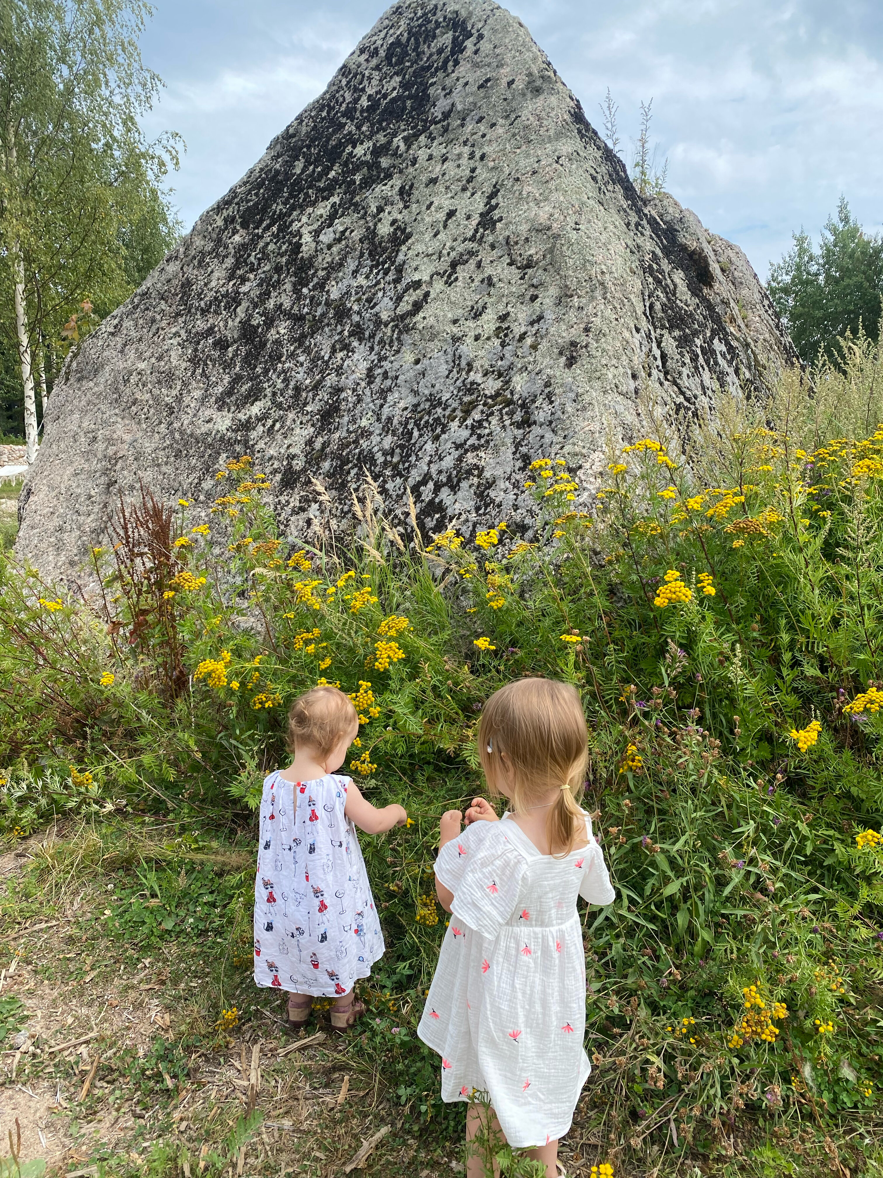 Фото Лавола