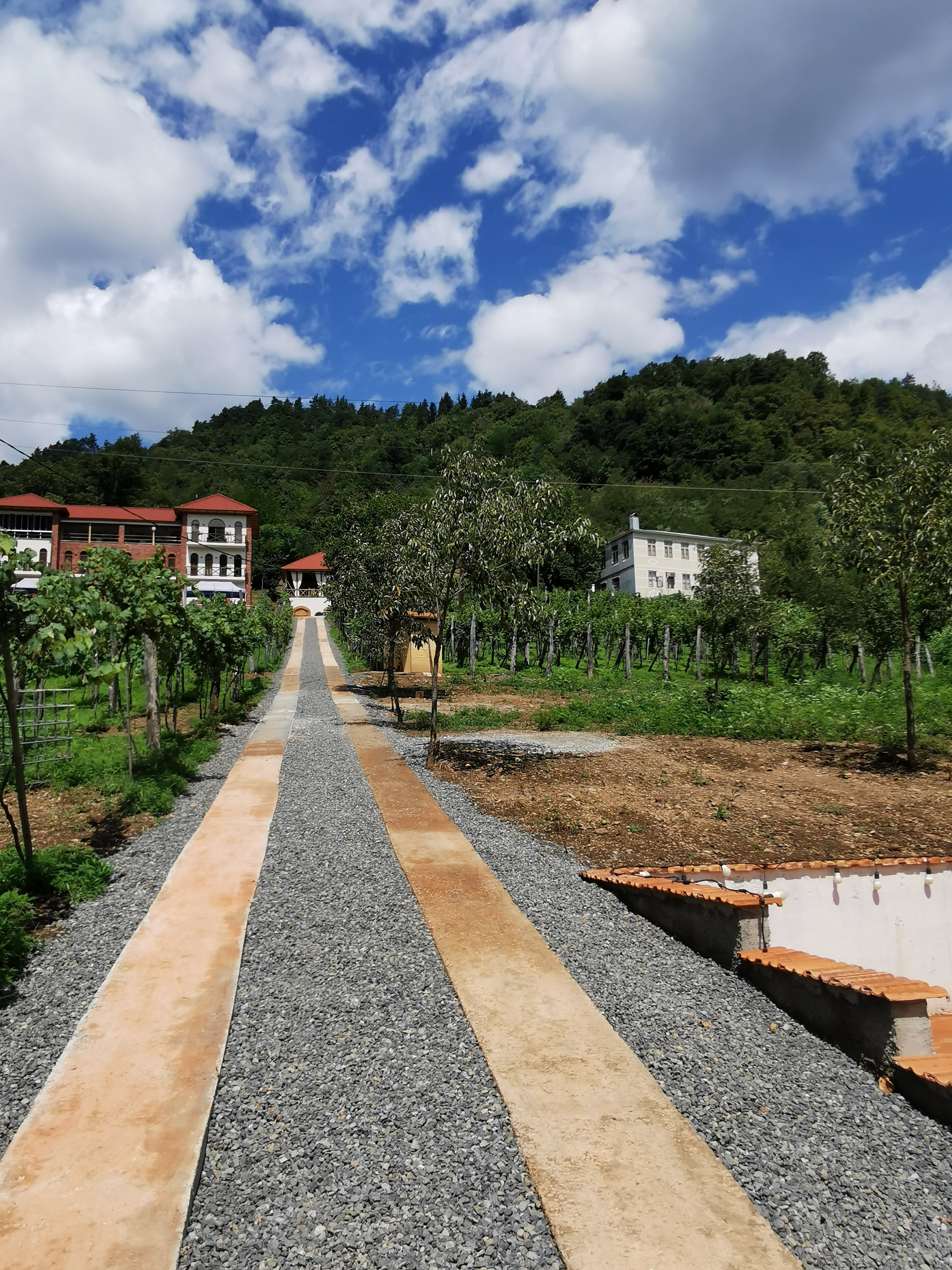 Фото Chateau Iveri