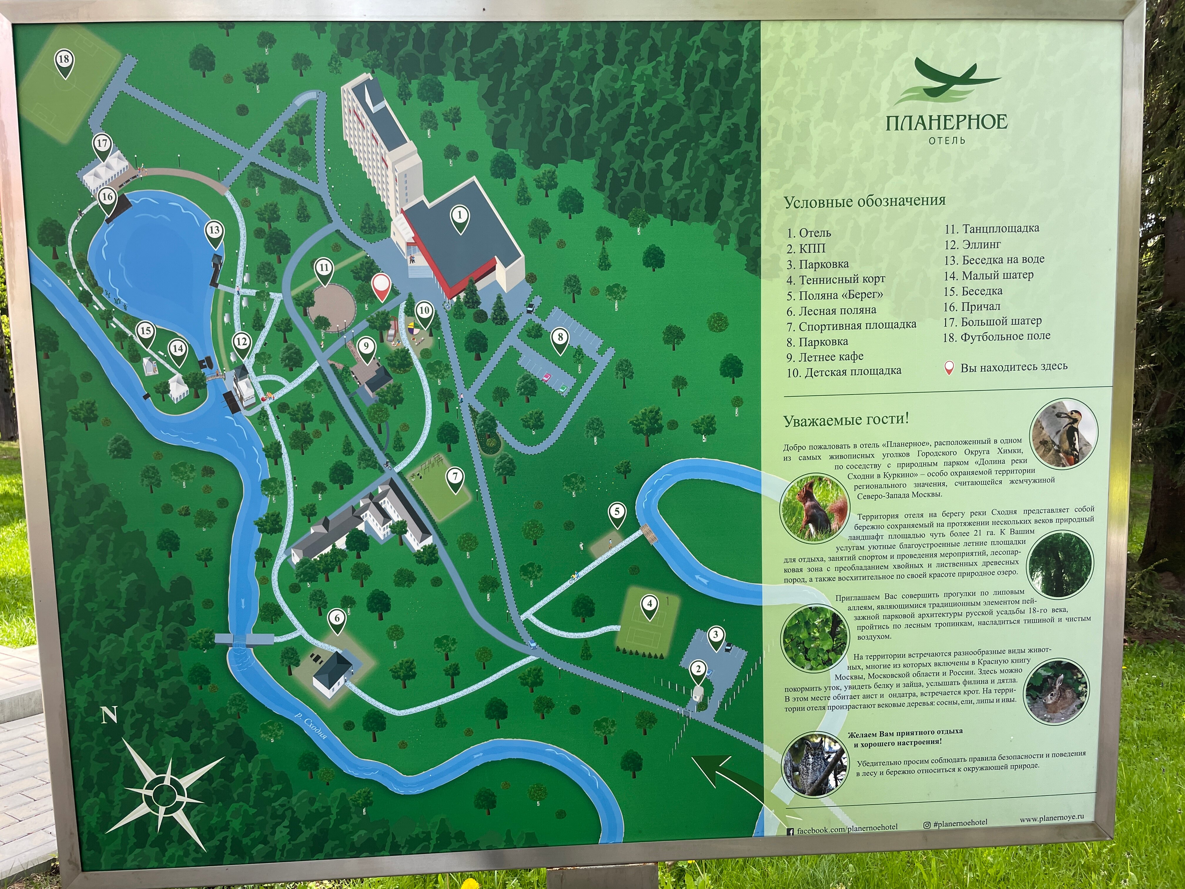 Фото Планерное