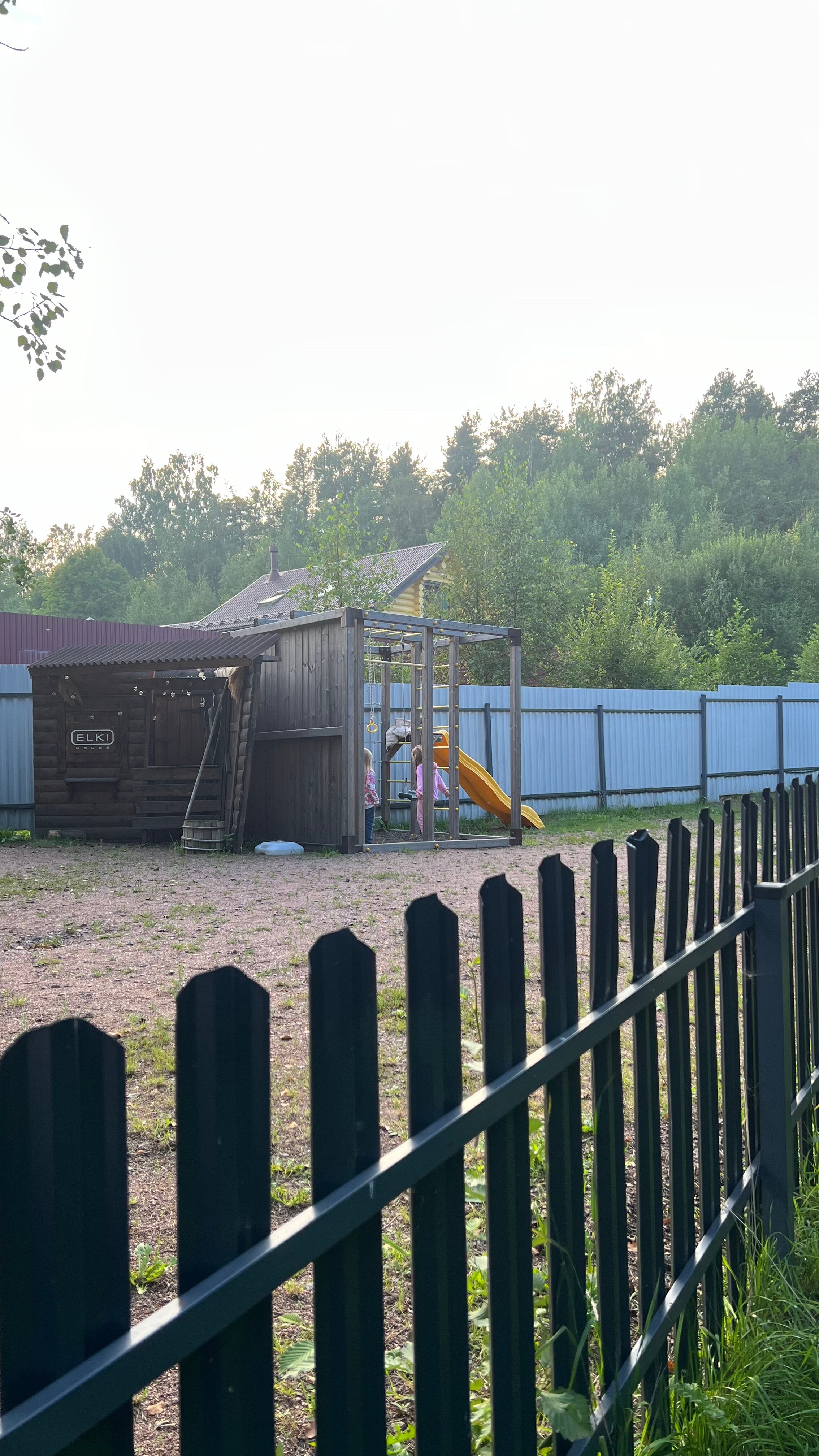 Фото Ёlki в Правдинское озеро