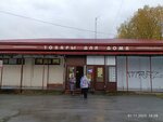Chistotronik (Budapeshtskaya Street, 49), dry cleaning