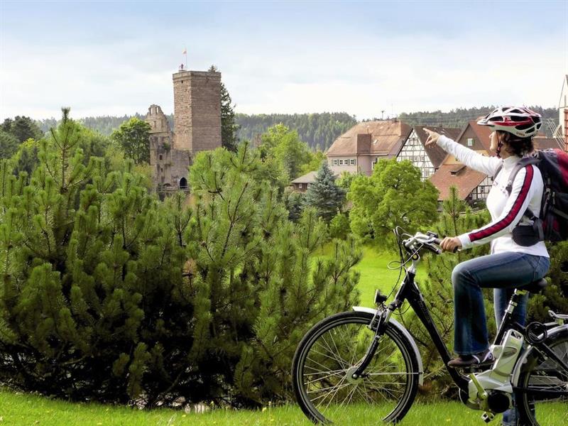 Фото Hotel Therme Bad Teinach