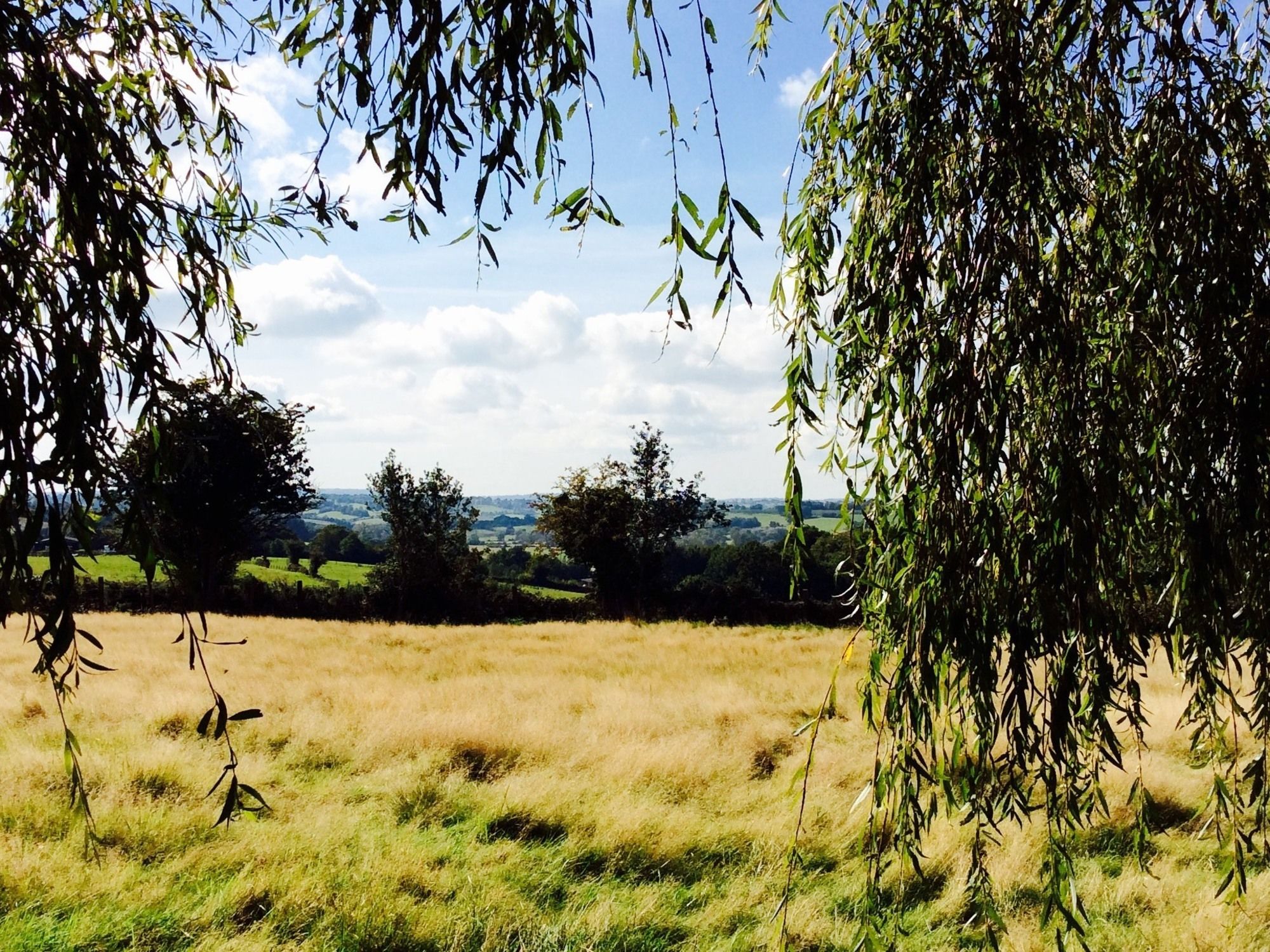 Фото Humphries Cross Apartments