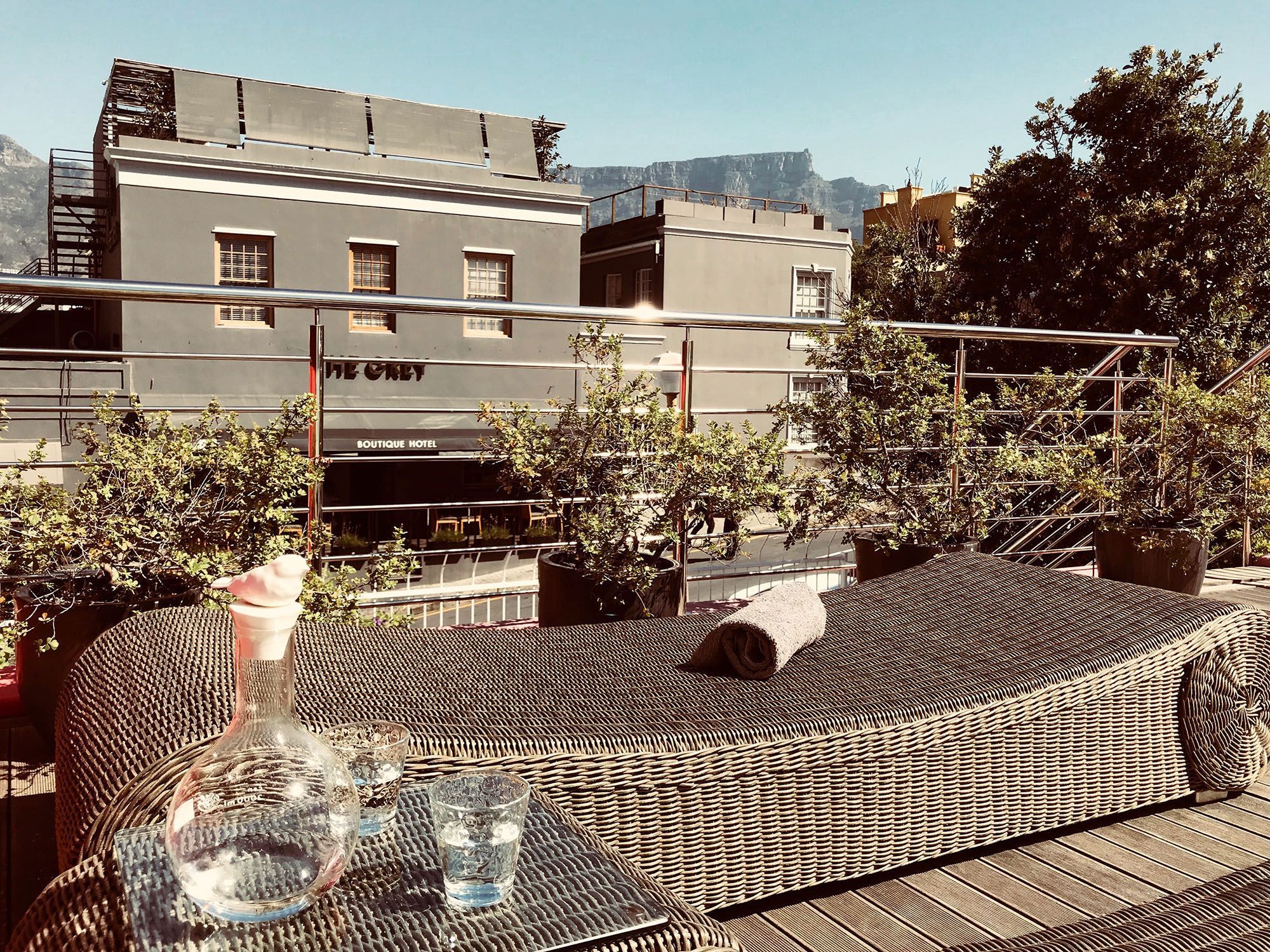 Фото Purple House