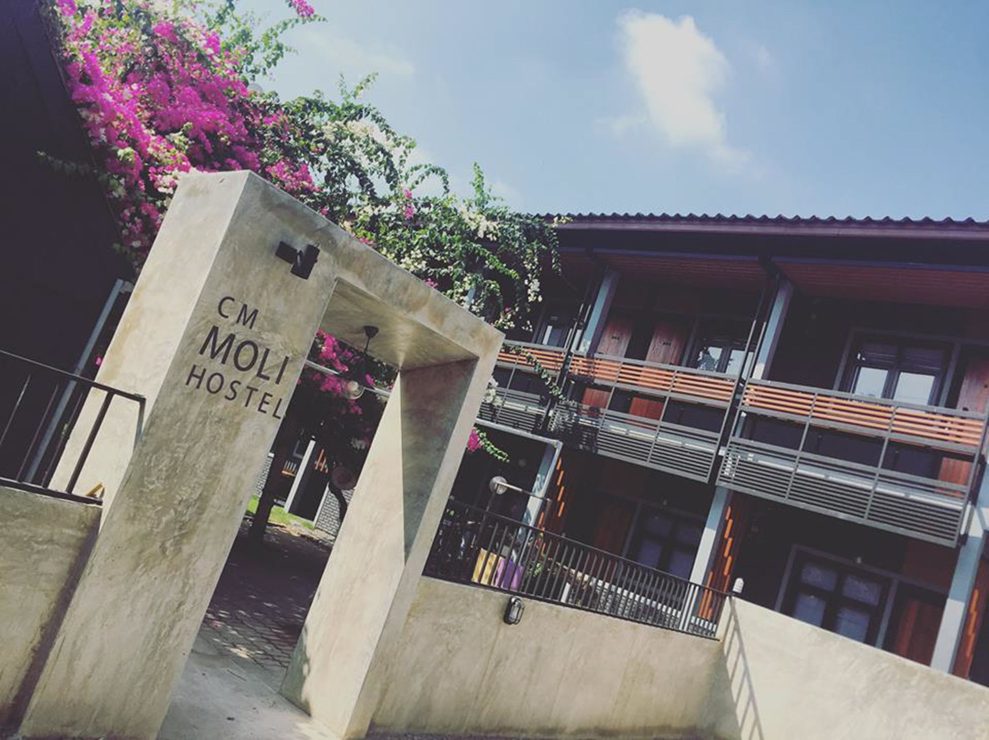 Фото ChiangMai Moli Inn - Hostel