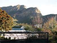 Фото Squirrels Corner