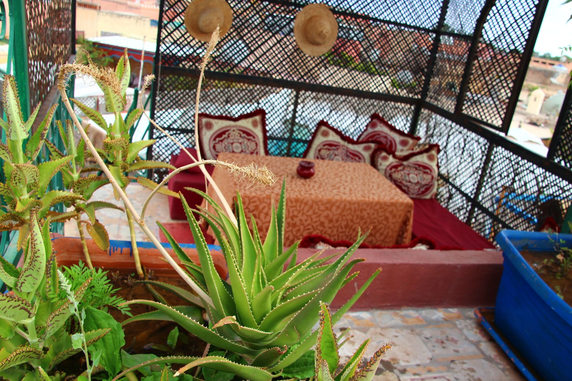 Фото Riad Bibtia