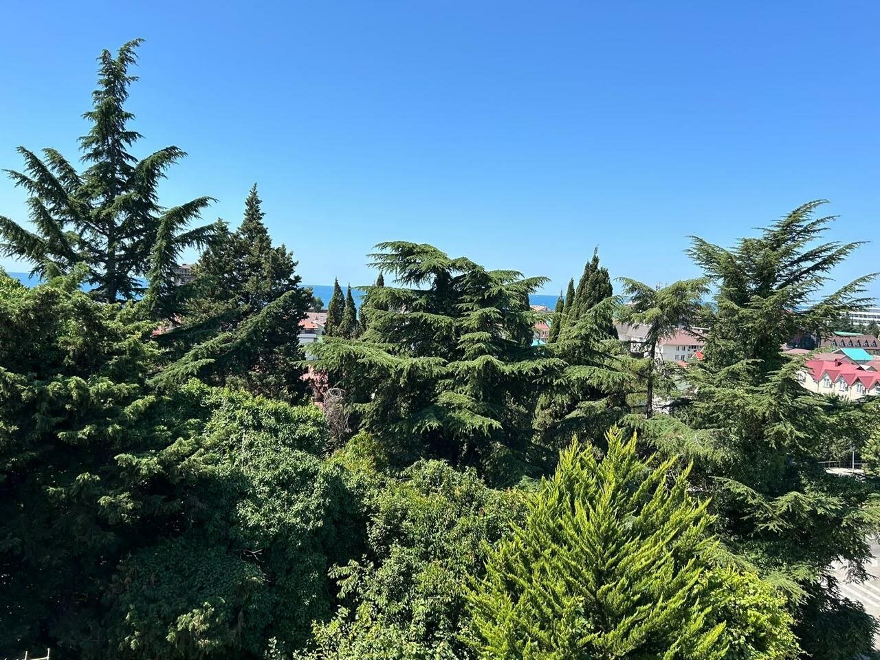 Фото Буржуазия