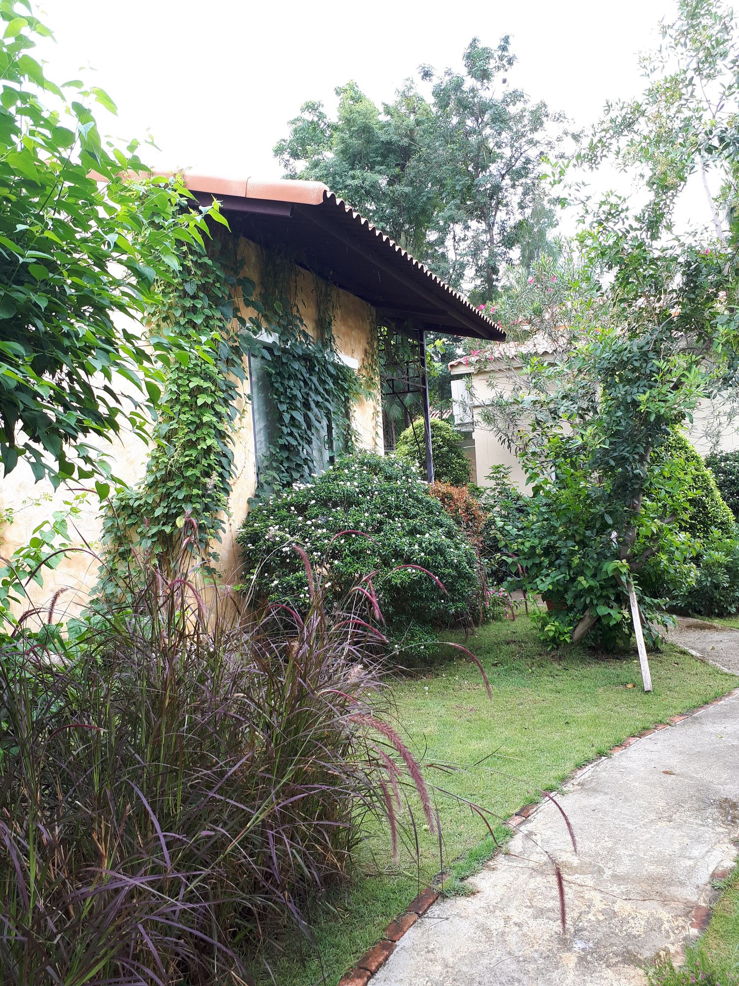 Фото Villa Tuscany Country Resort