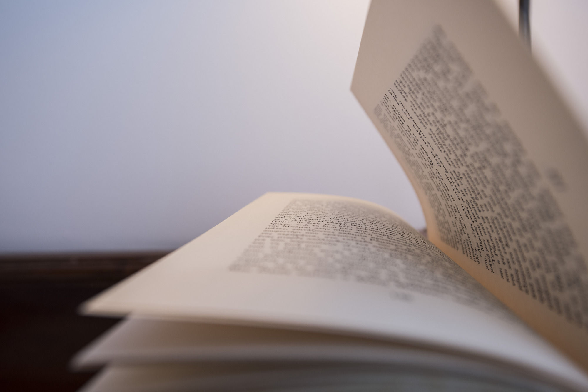 Фото Morning Star