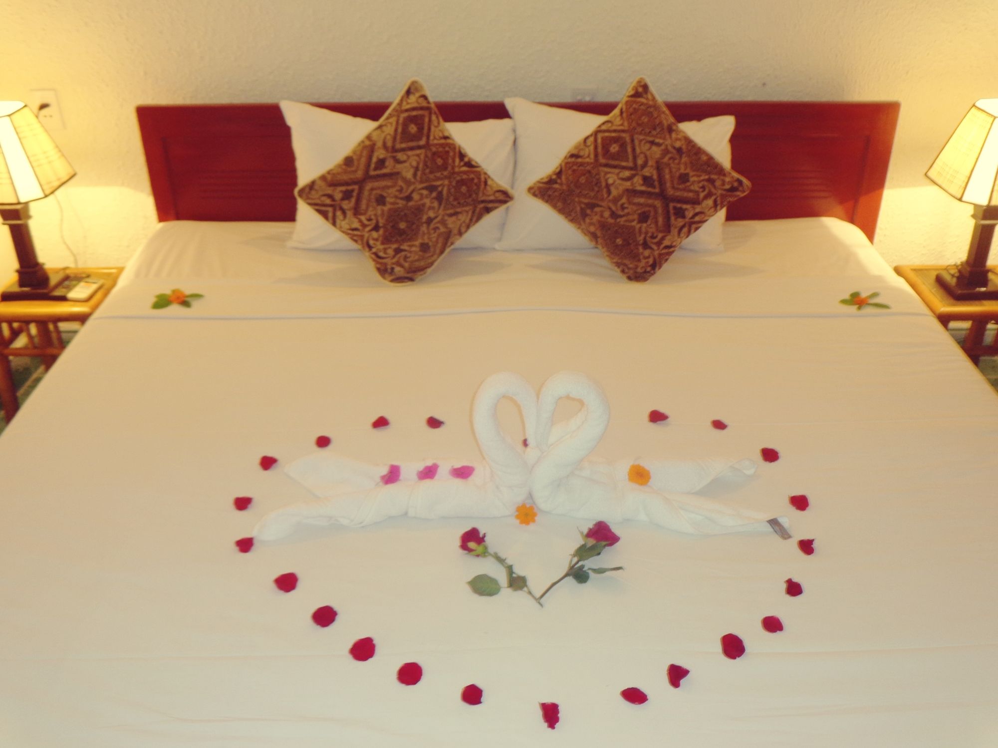 Фото Gingergrass Homestay