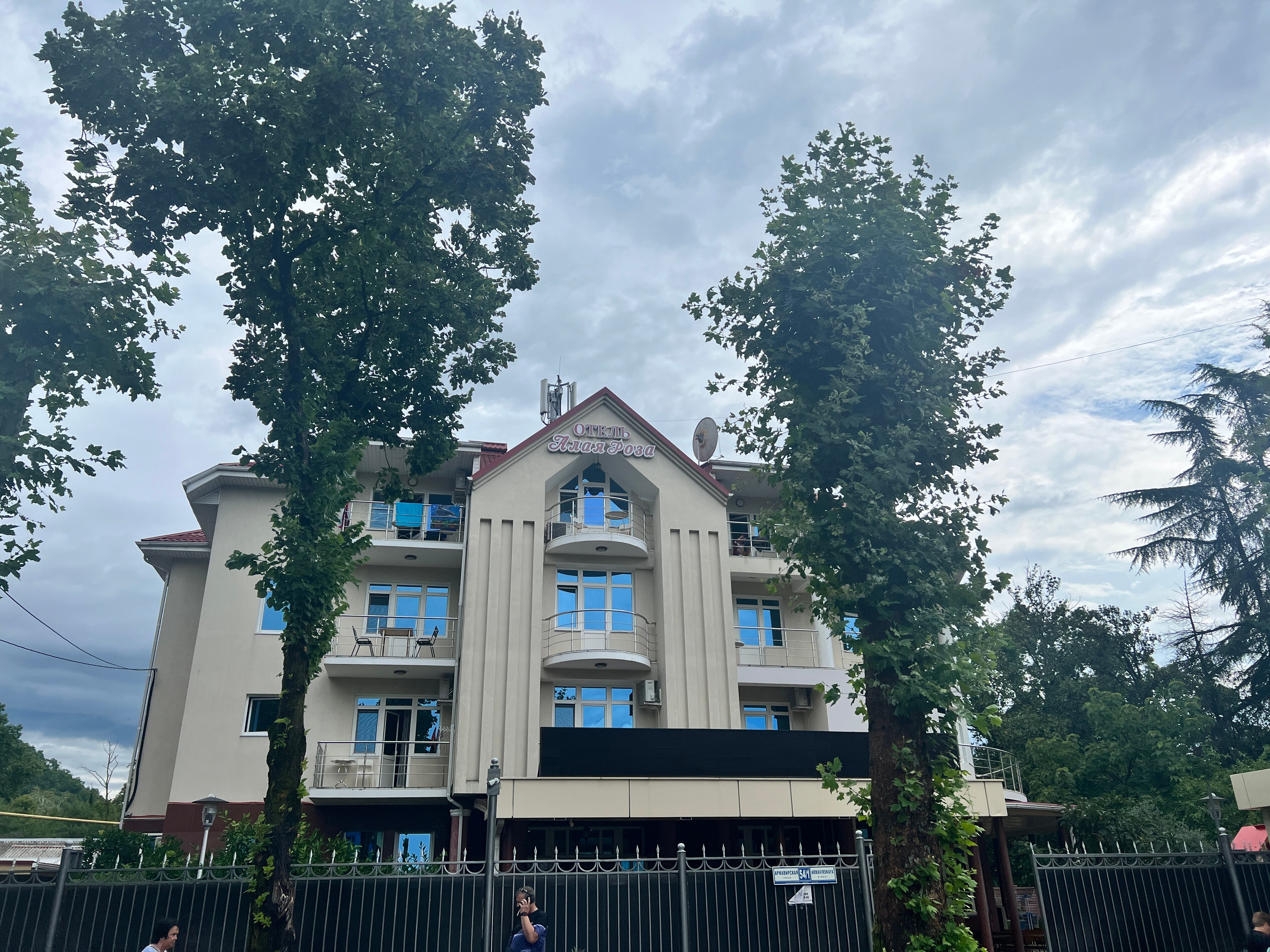 Фото Алая Роза