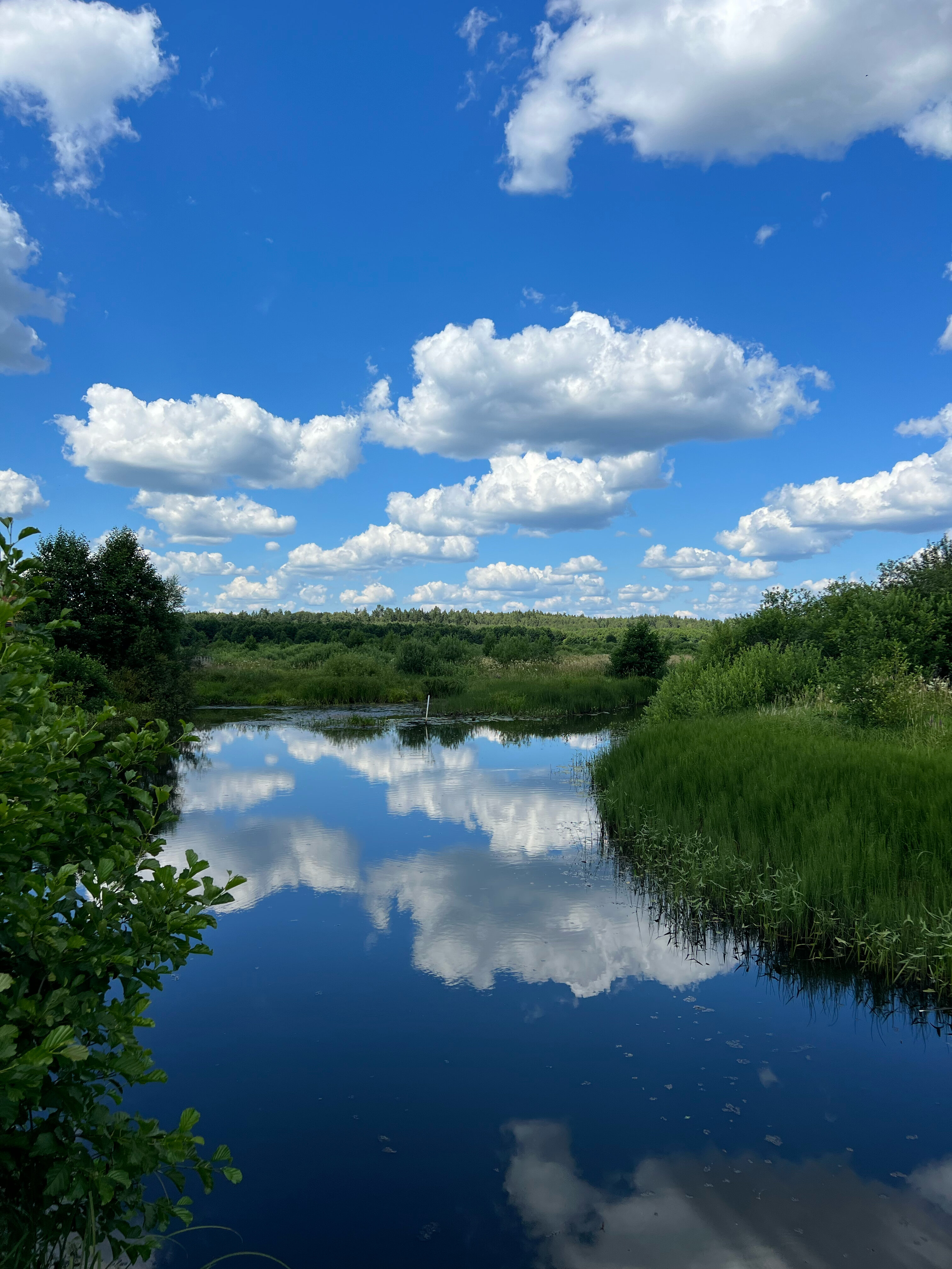 Фото Раздолье