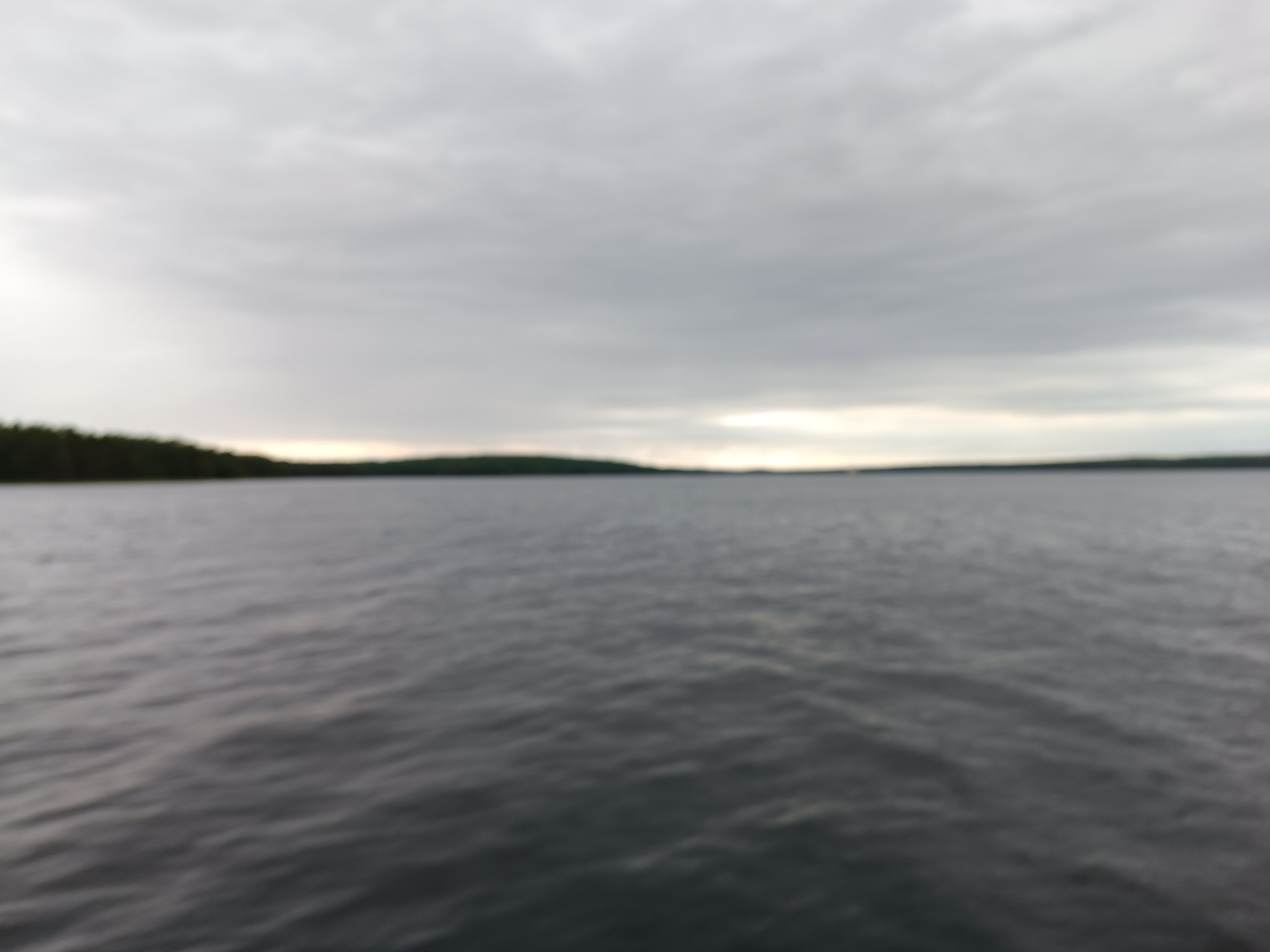 Фото Нереис