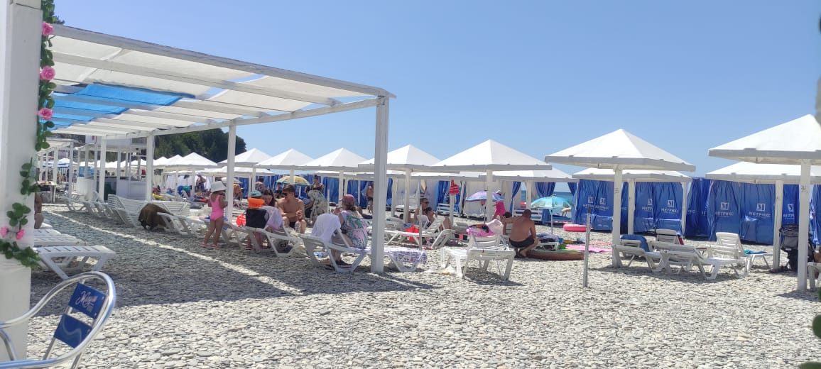 Фото Amigo Panna-Cotta