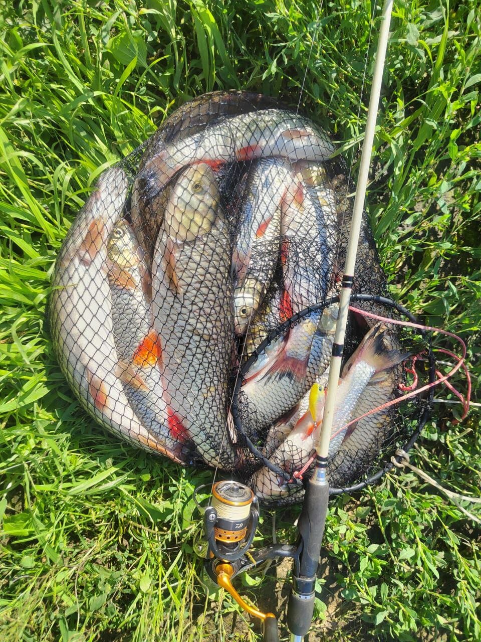 Фото Причал Николаича