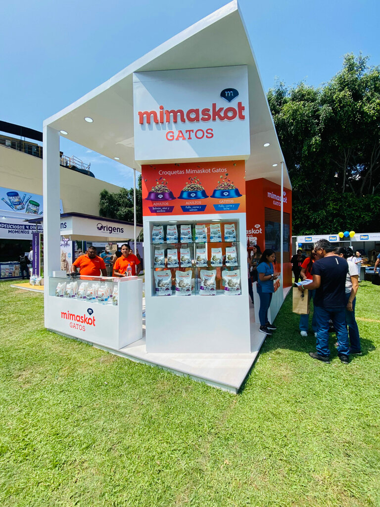 Advertising agency Create BTL, Lima, photo