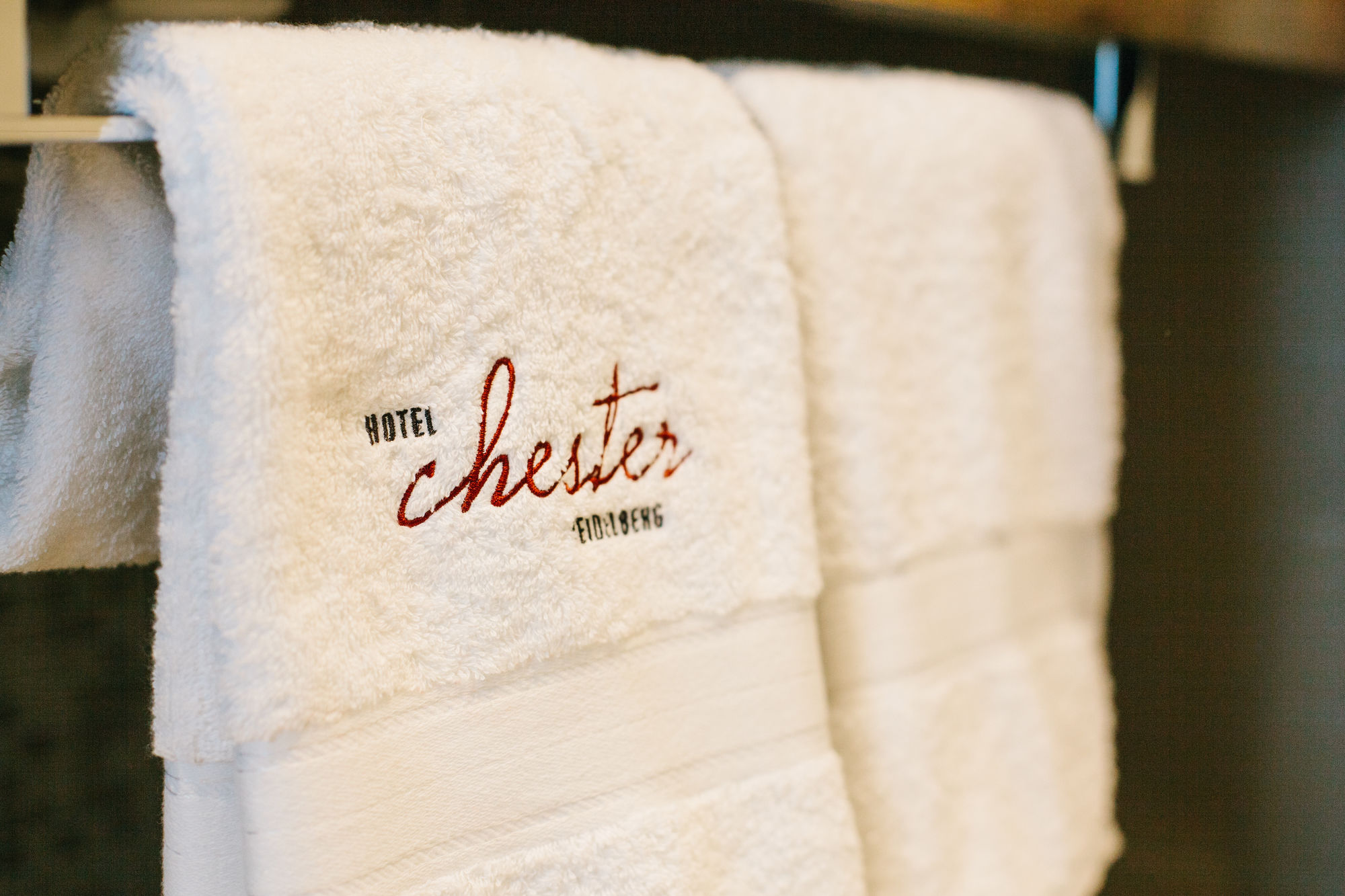 Фото Hotel Chester Heidelberg