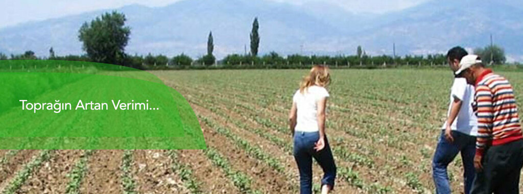 Agricultural enterprise Ay-dem Tarım, Izmir, photo