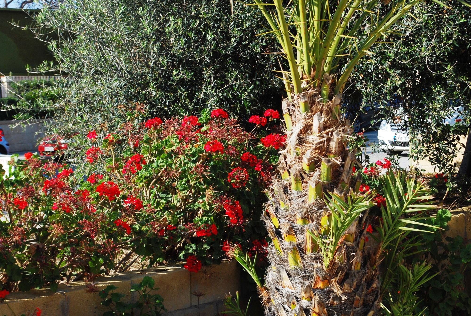 Фото Georgia Apartments