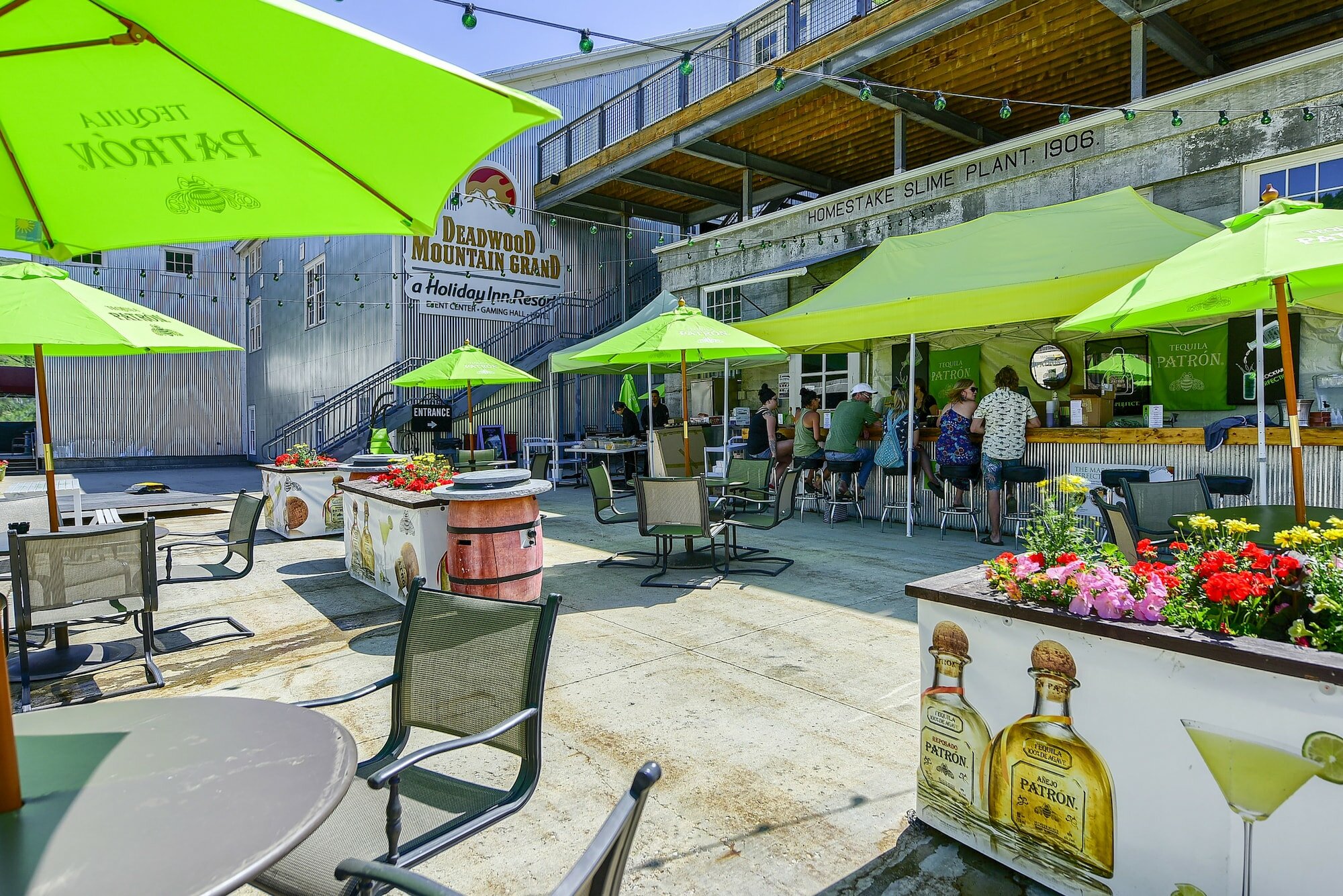 Фото 179965646568