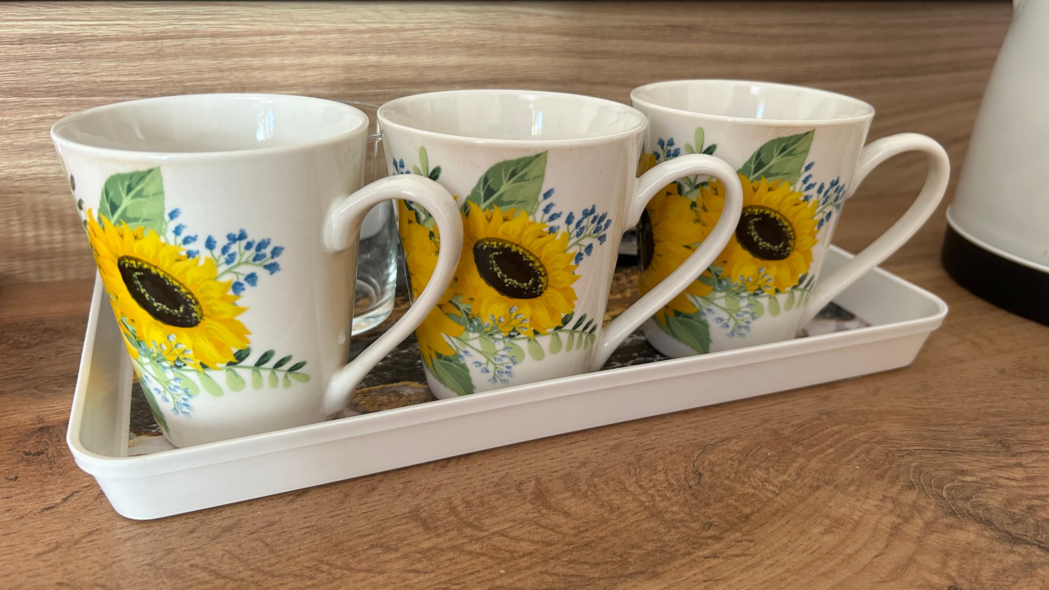 Фото Подсолнух