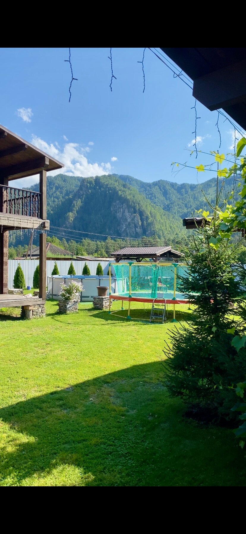 Фото Медведь и Ягодка