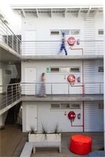 Фото Wink Quiver Tree