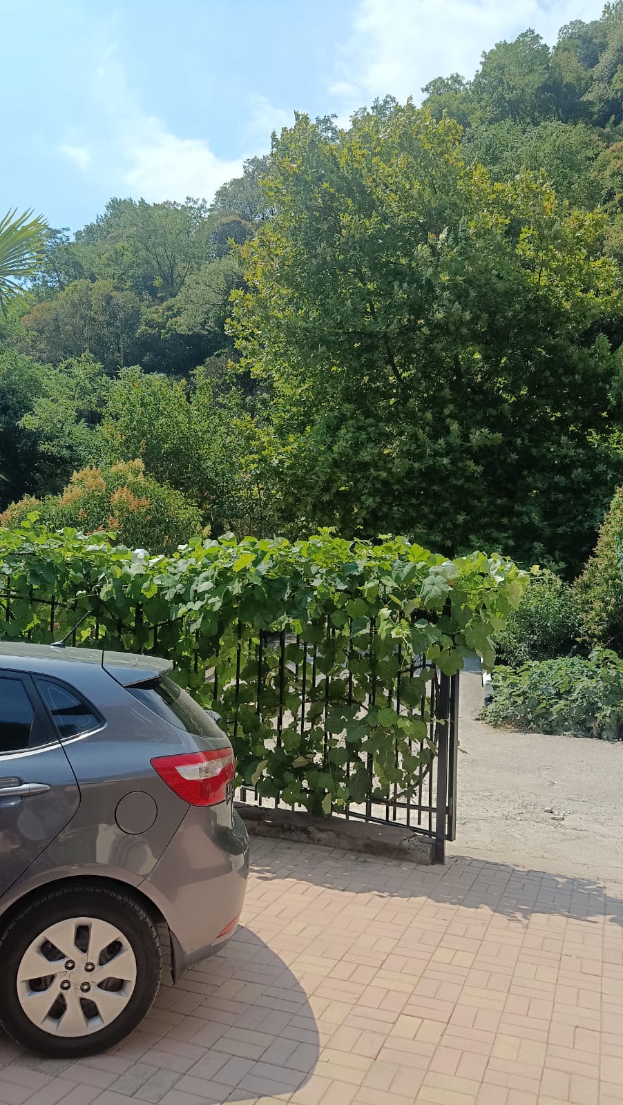 Фото Вилла Леона