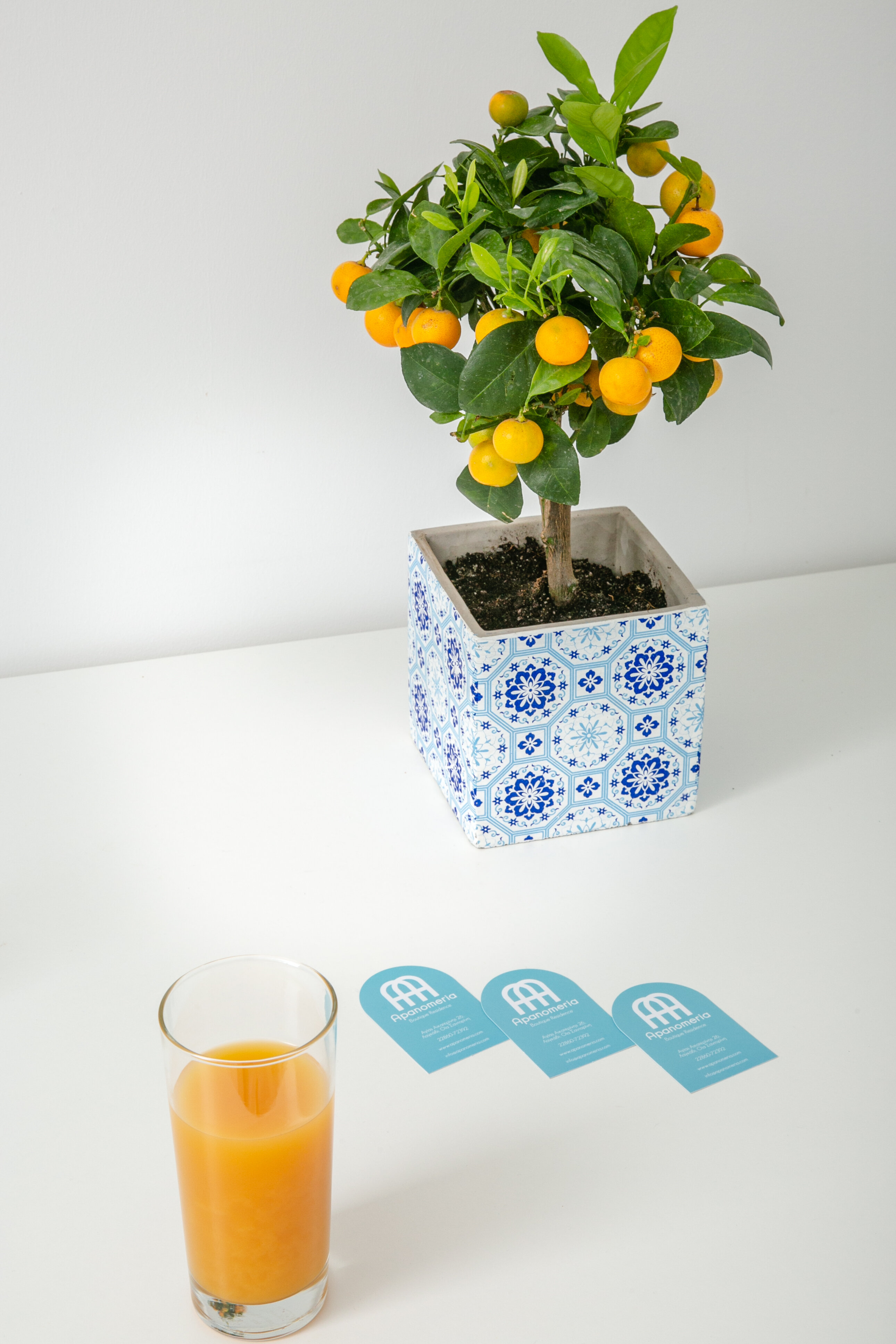 Фото Apanomeria Boutique Residence