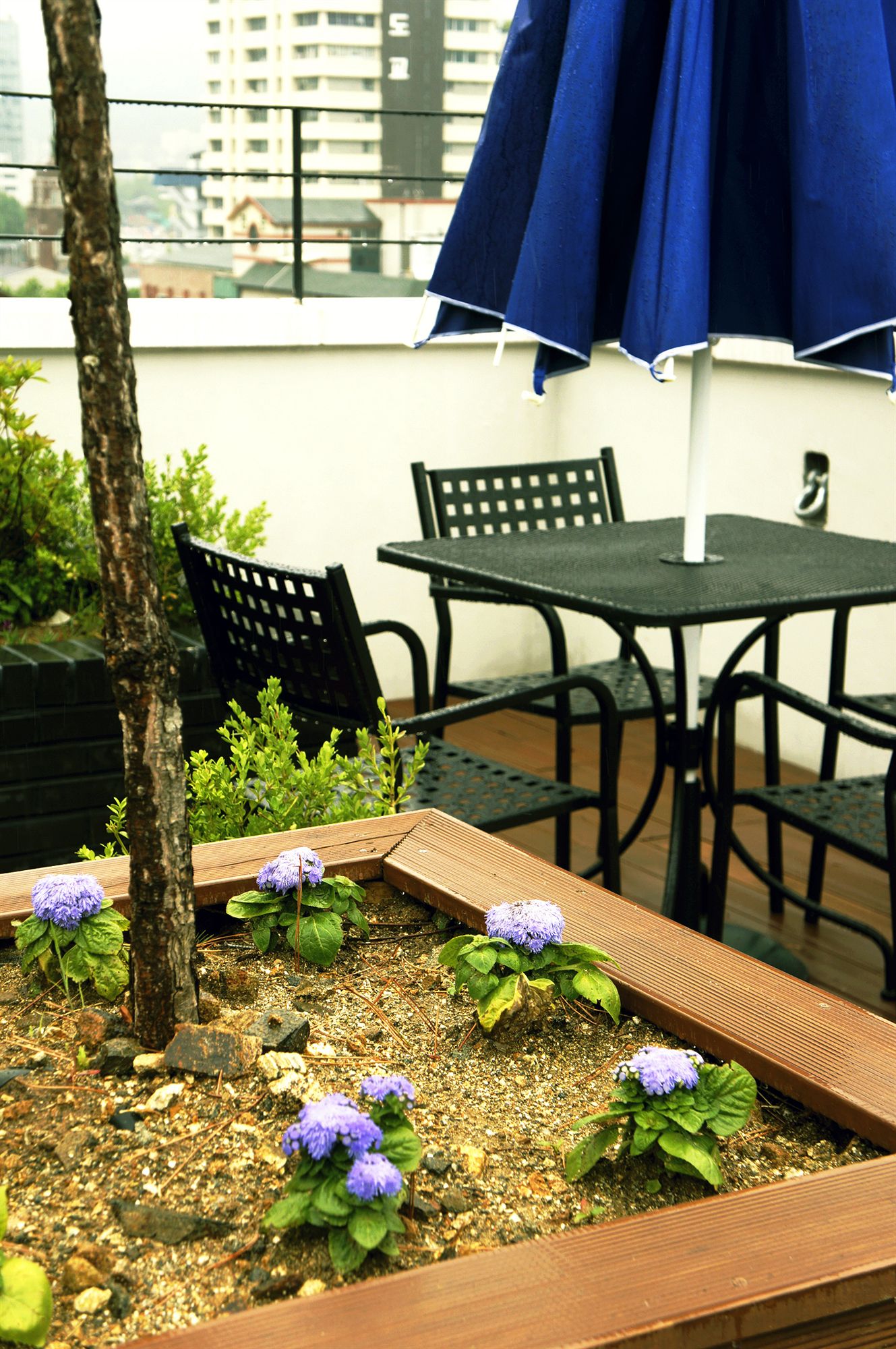 Фото Hotel Dada Insadong