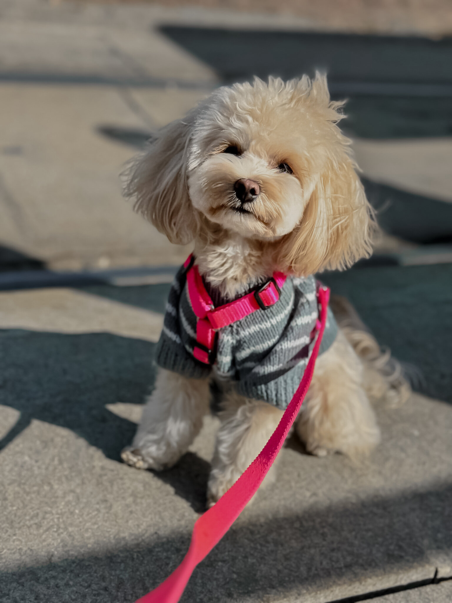 Фото Гостевой комплекс Эко-деревня