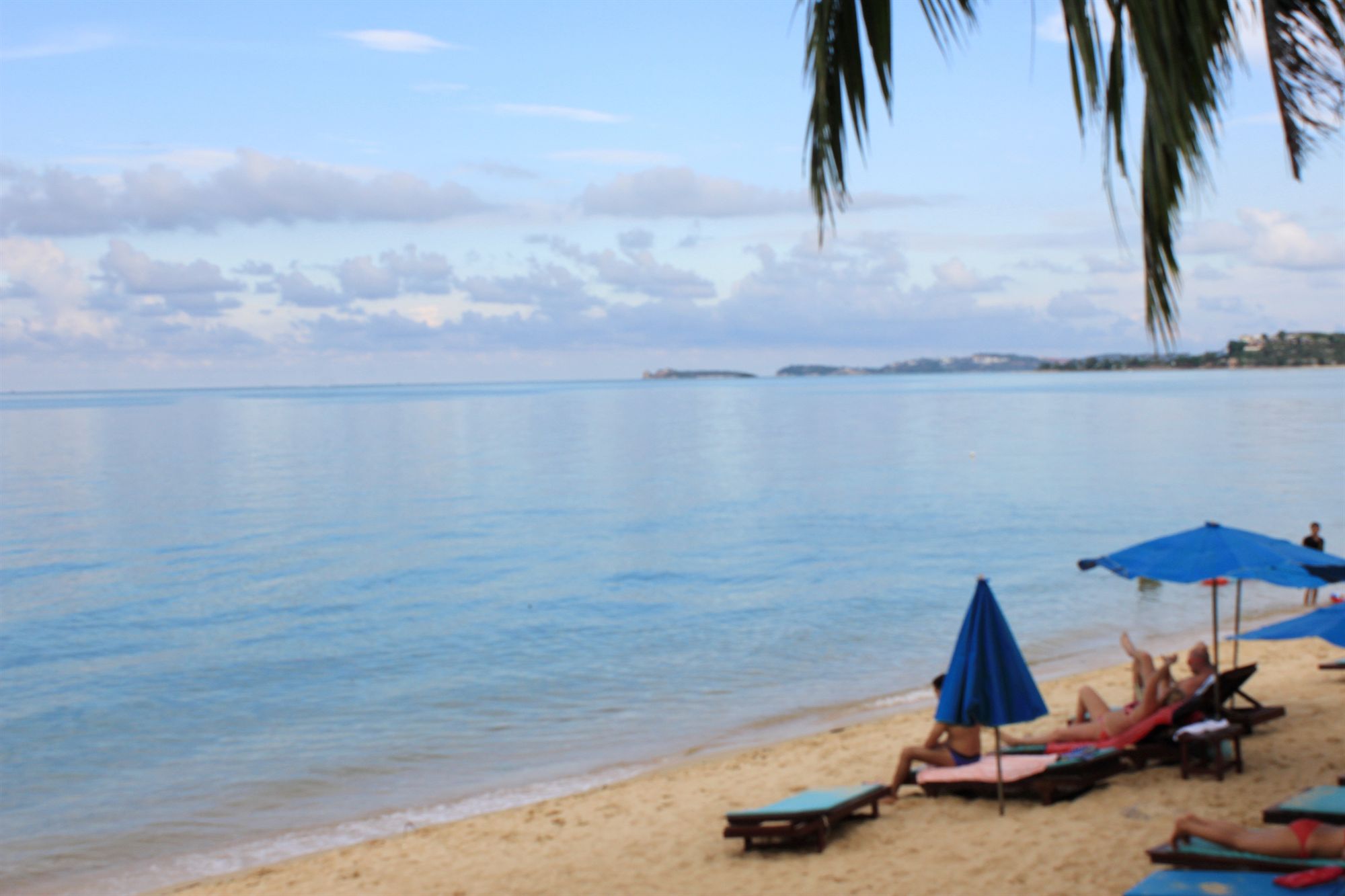 Фото Флорист Отель