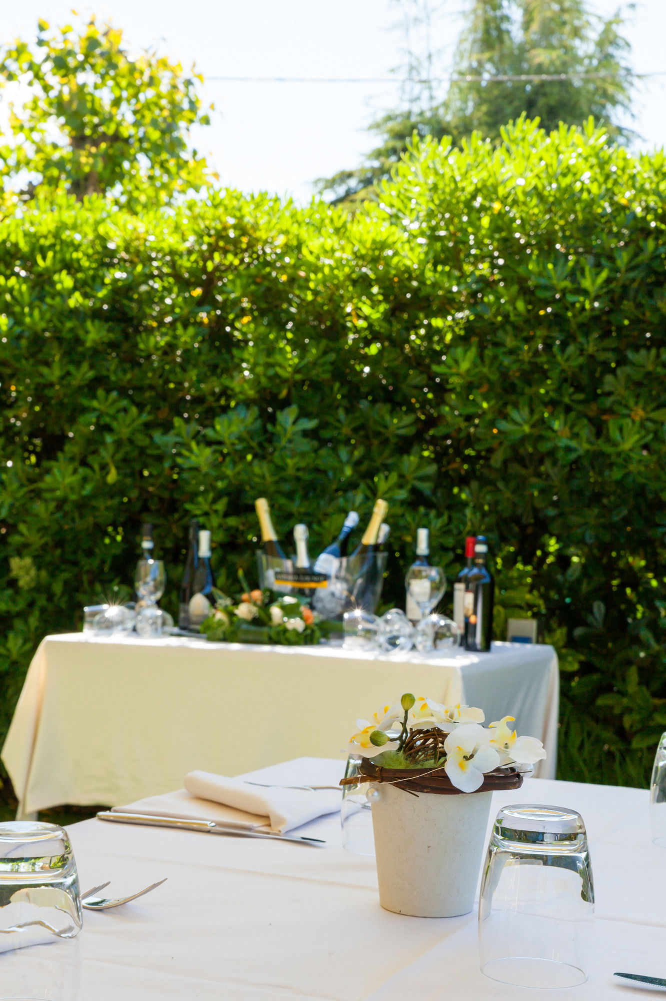 Фото Hotel Ristorante Al Fiore