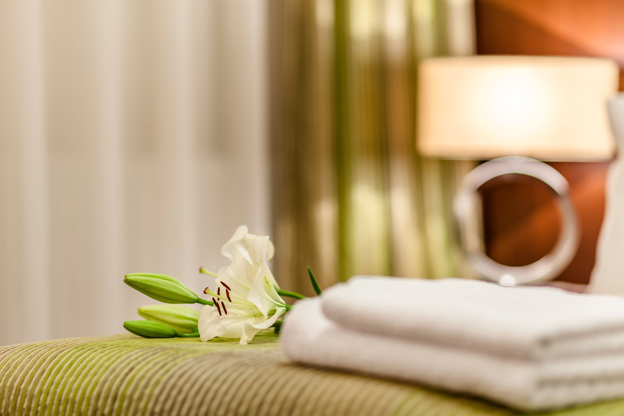 Фото Hotel Cubix