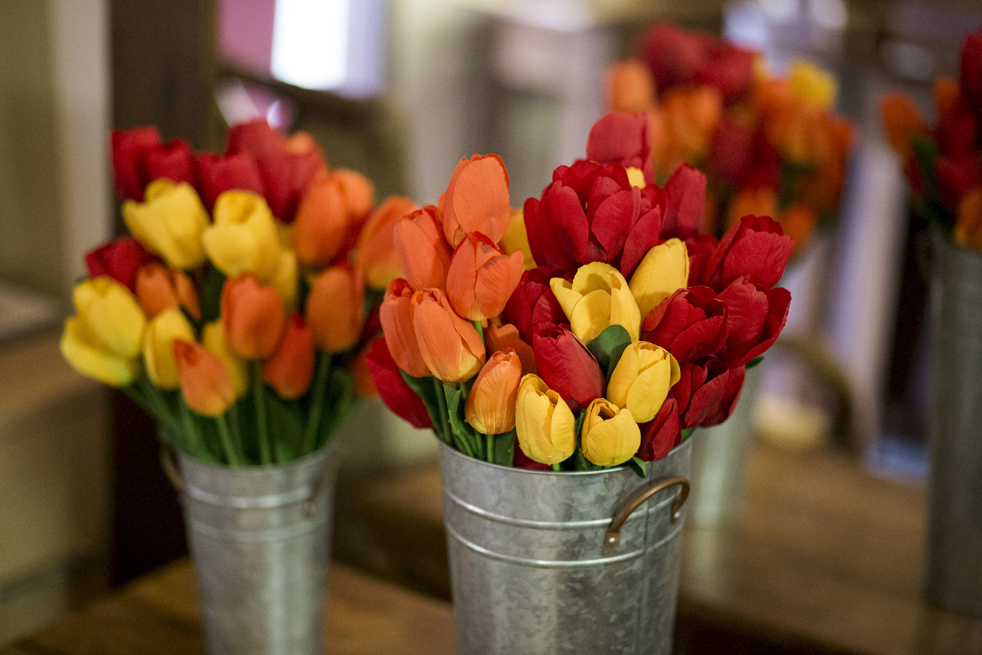 Фото Alameda Paradiso Hotel