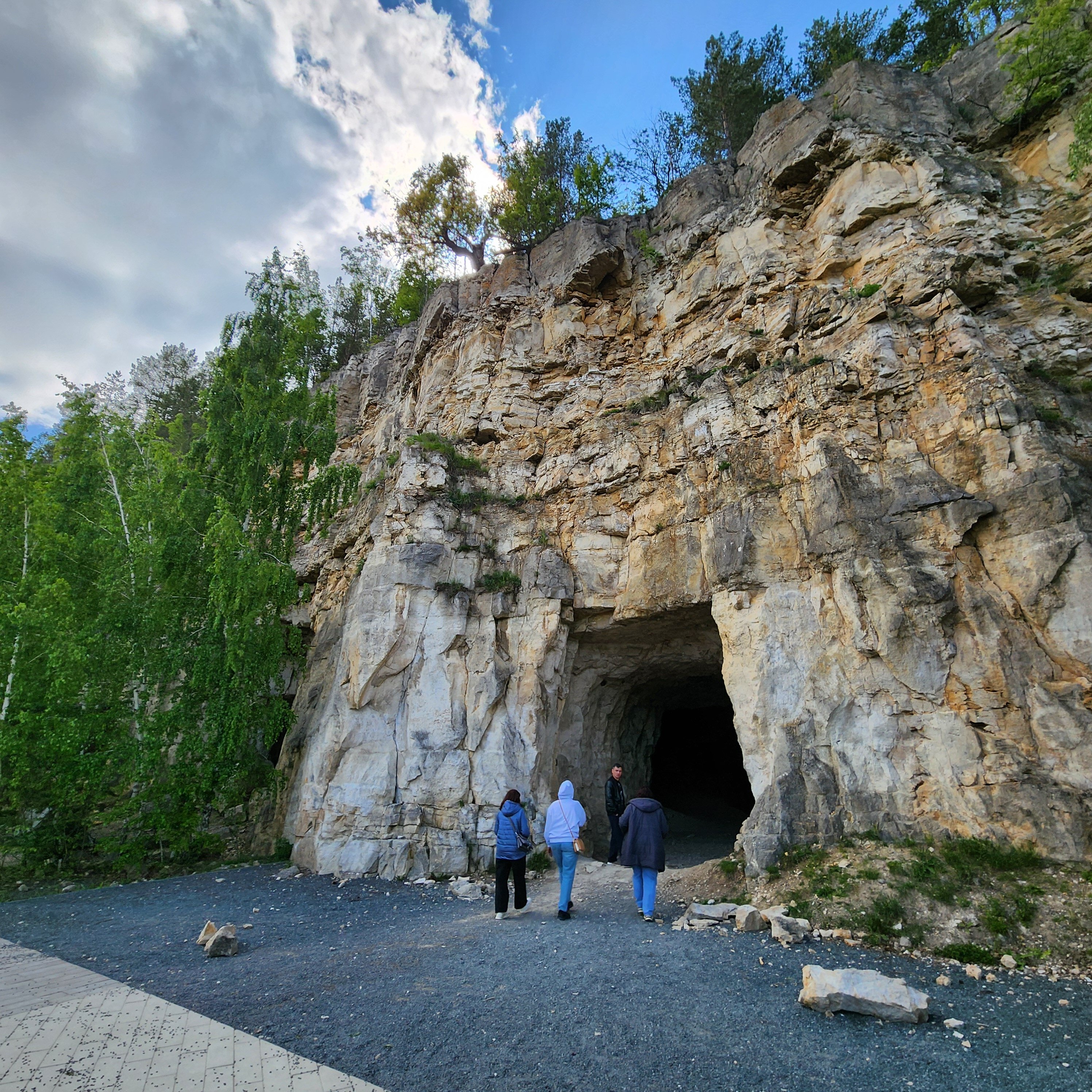 Фото Лисички-сестрички
