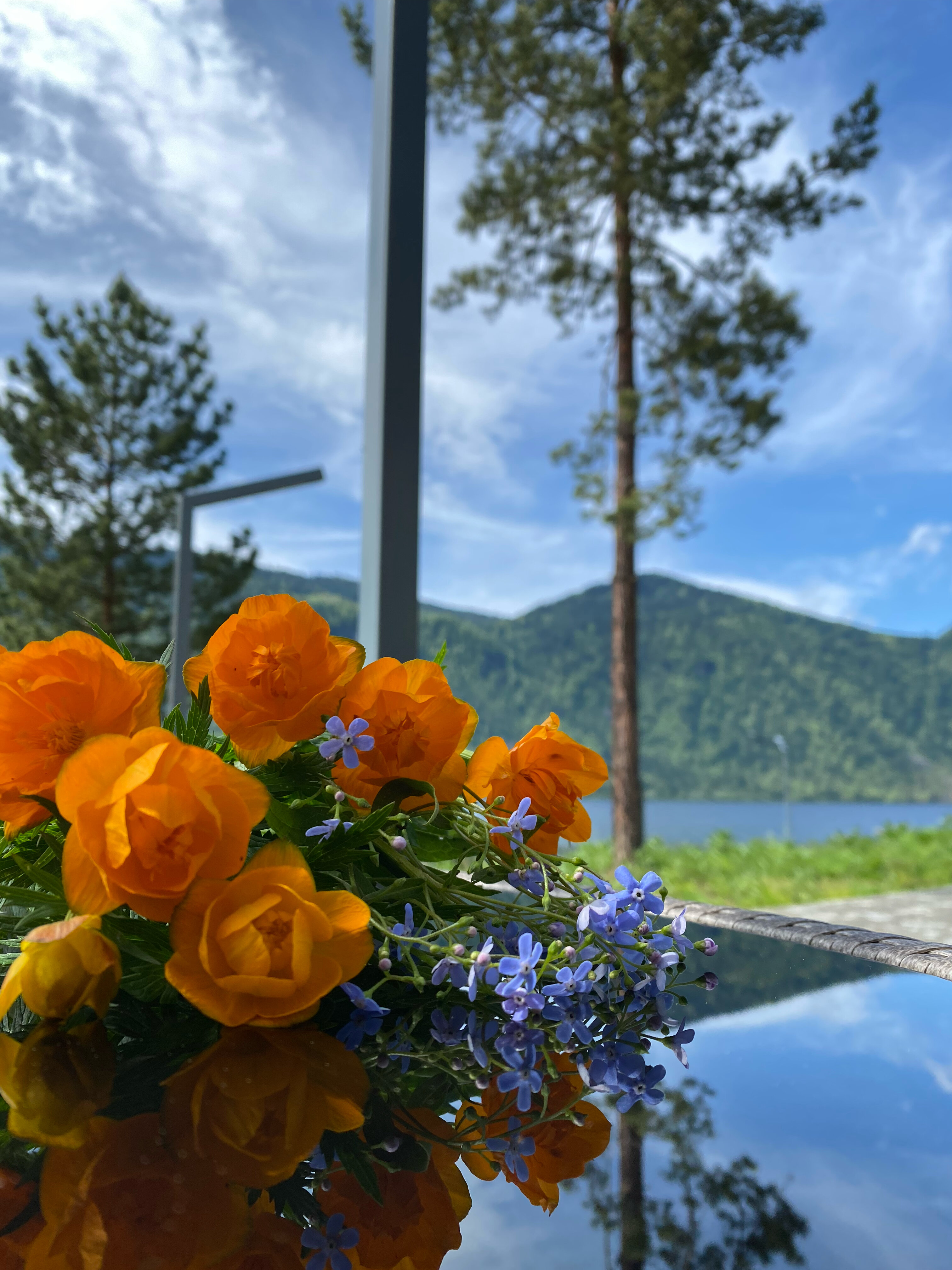 Фото Ойер Парк Отель