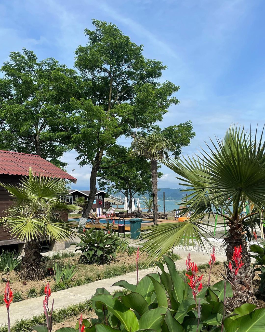 Фото Сухумская бухта