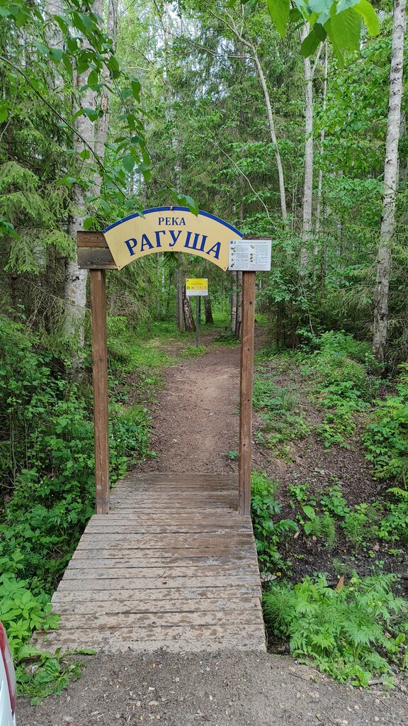 Landmark, attraction Пешеходный экологический маршрут Долина реки Рагуша, Saint‑Petersburg and Leningrad Oblast, photo