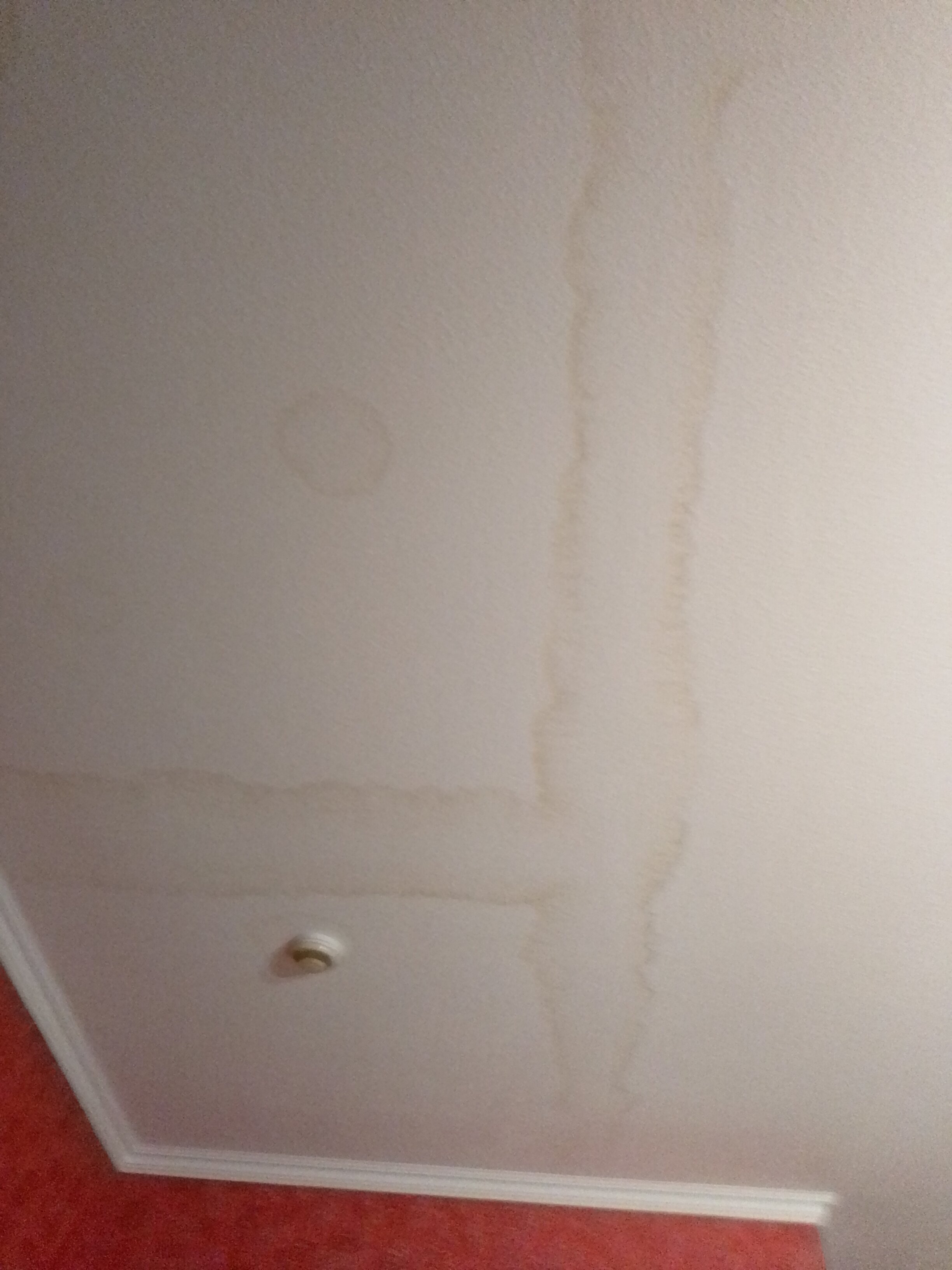 Фото Нев Отель